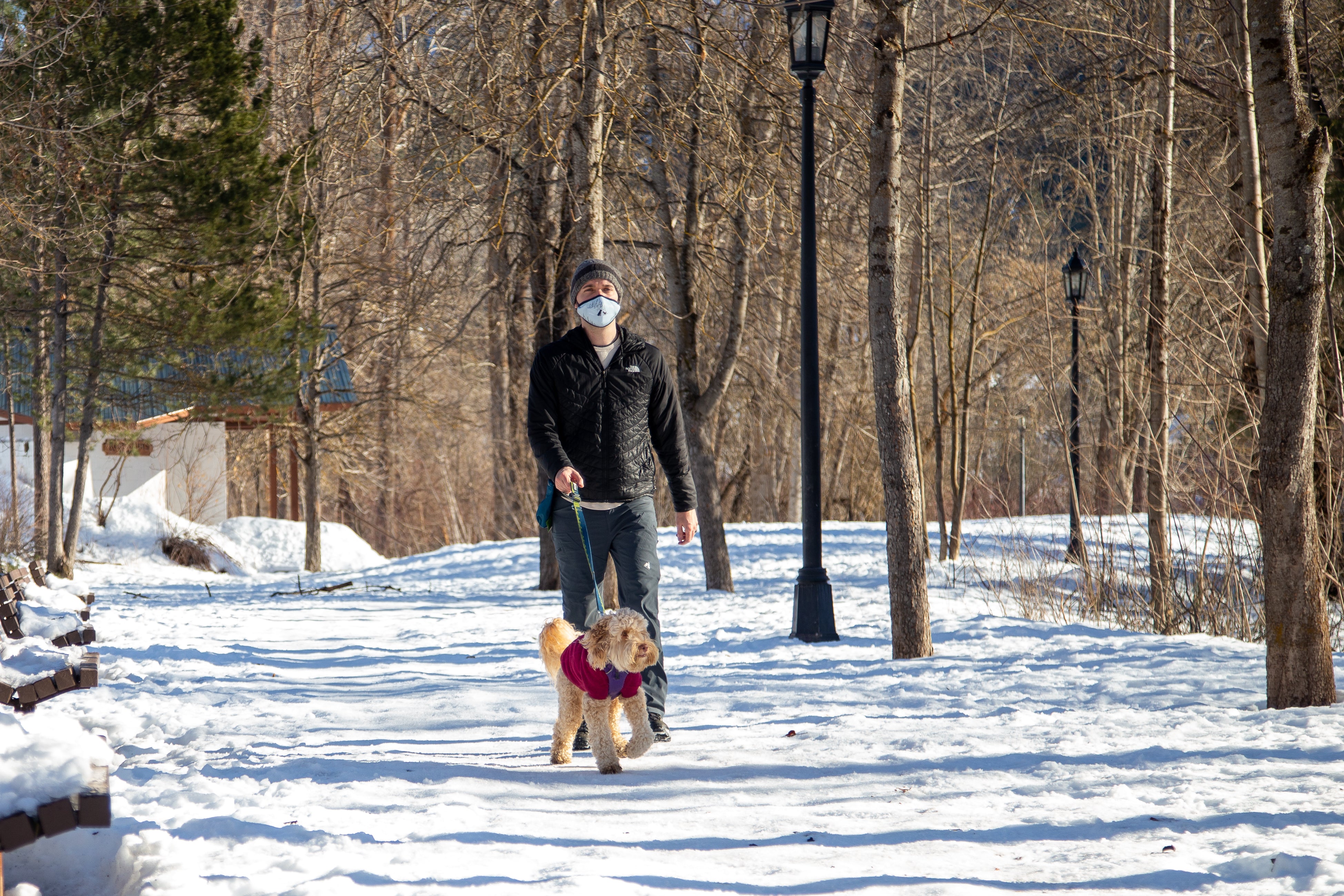 A man walks his dog on leash in a snowy city park. 