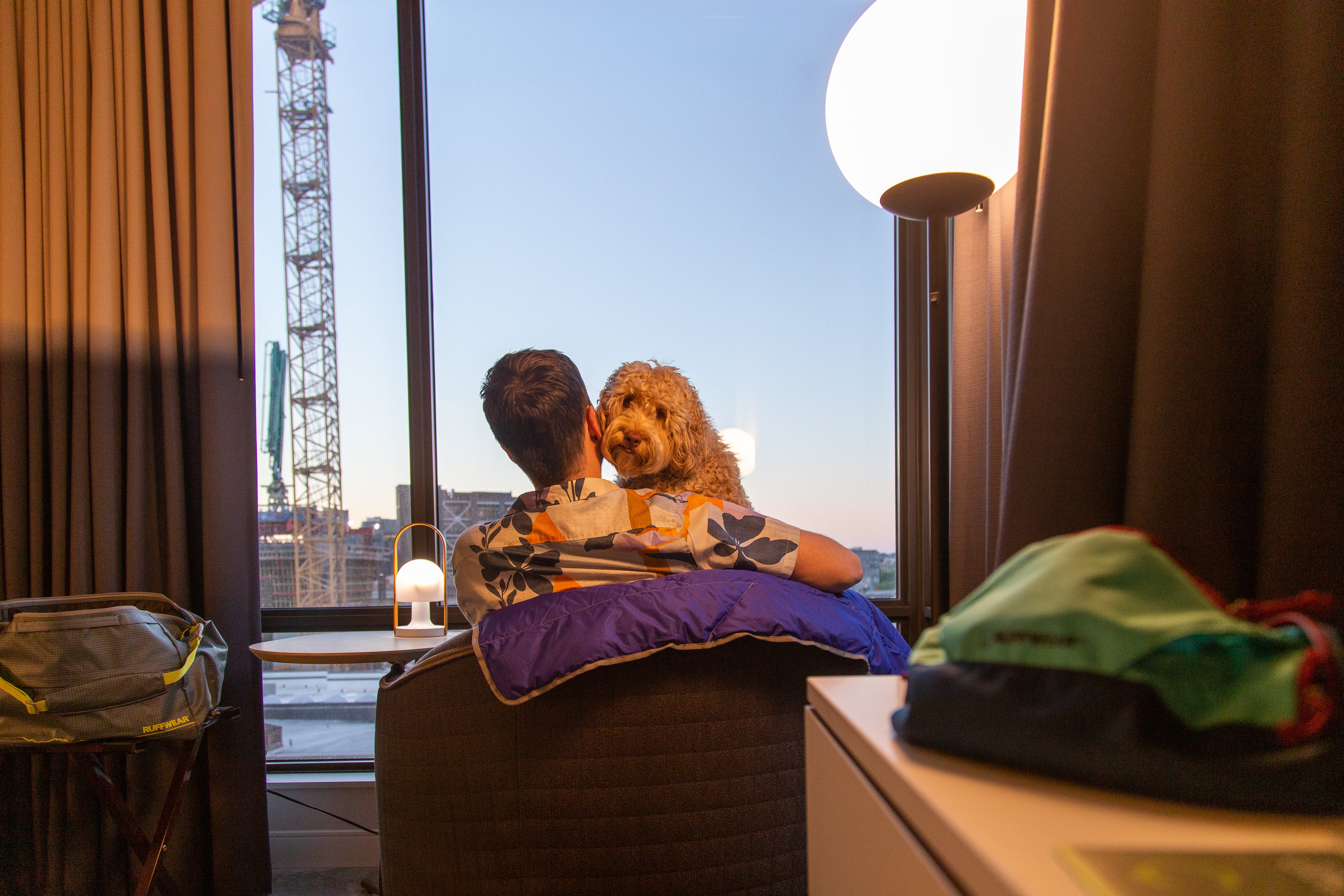 Bondi and her human companion relax at a Portland hotel. 