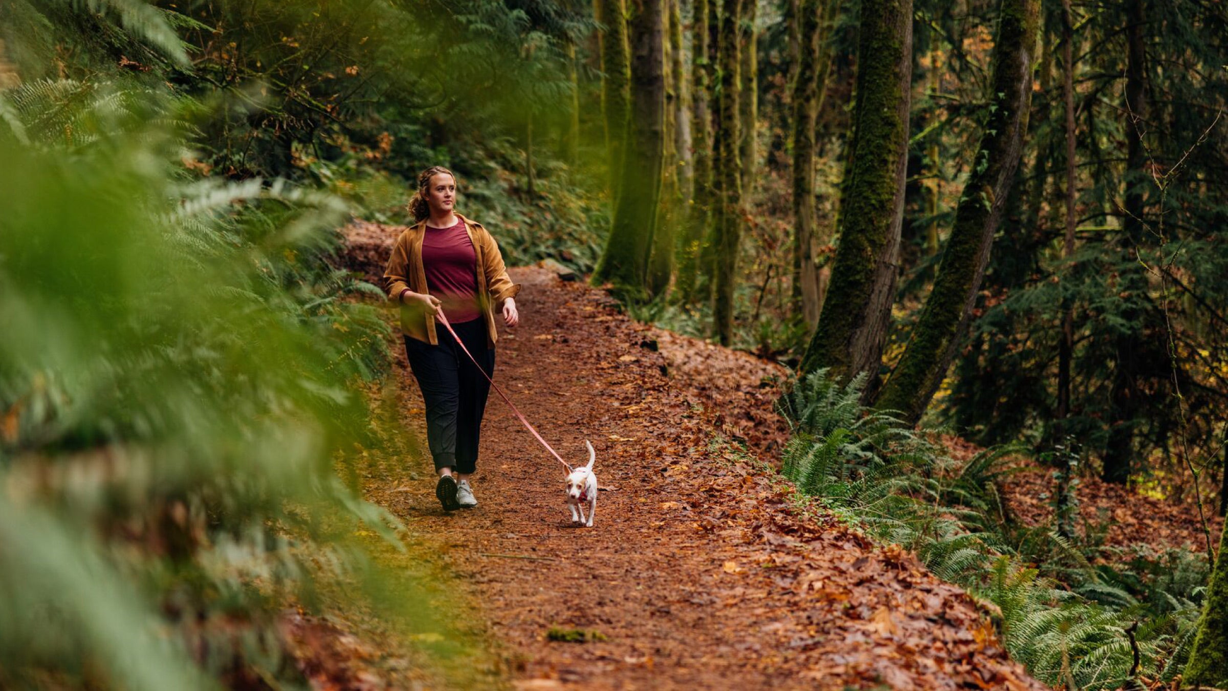 Woman and dog walking on-leash in the woods