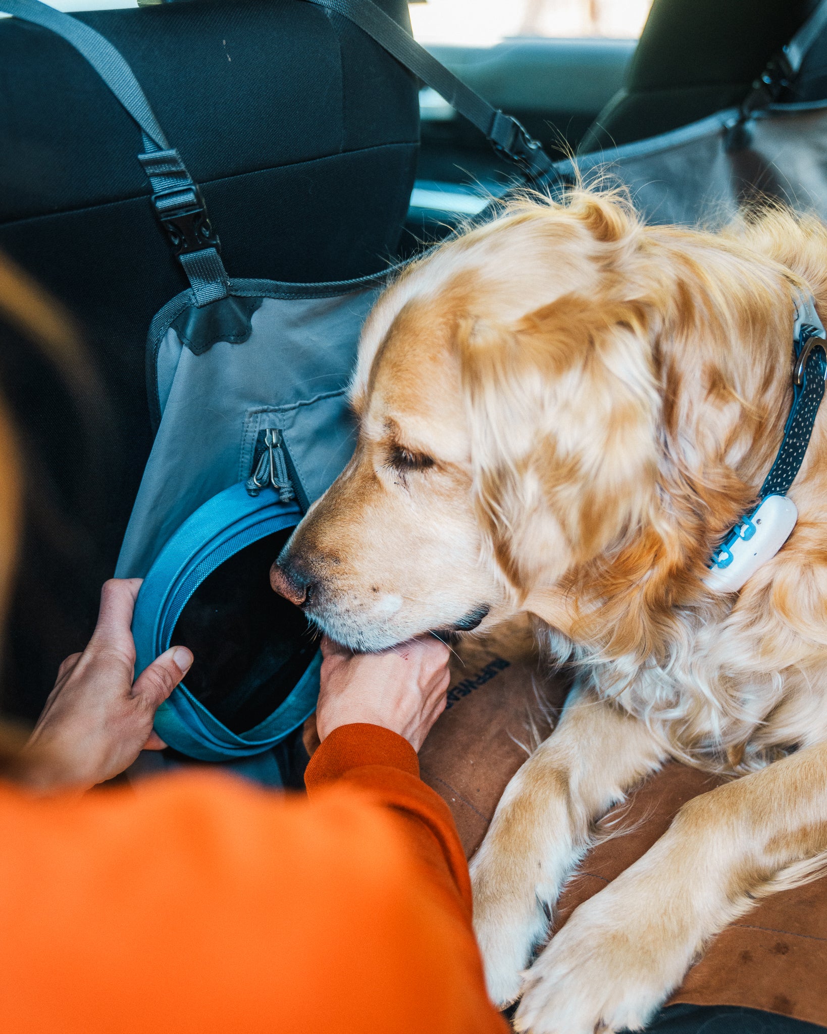 A person pulls a dog bowl out of the zipper pocket in the Dirtbag Seat Cover. 