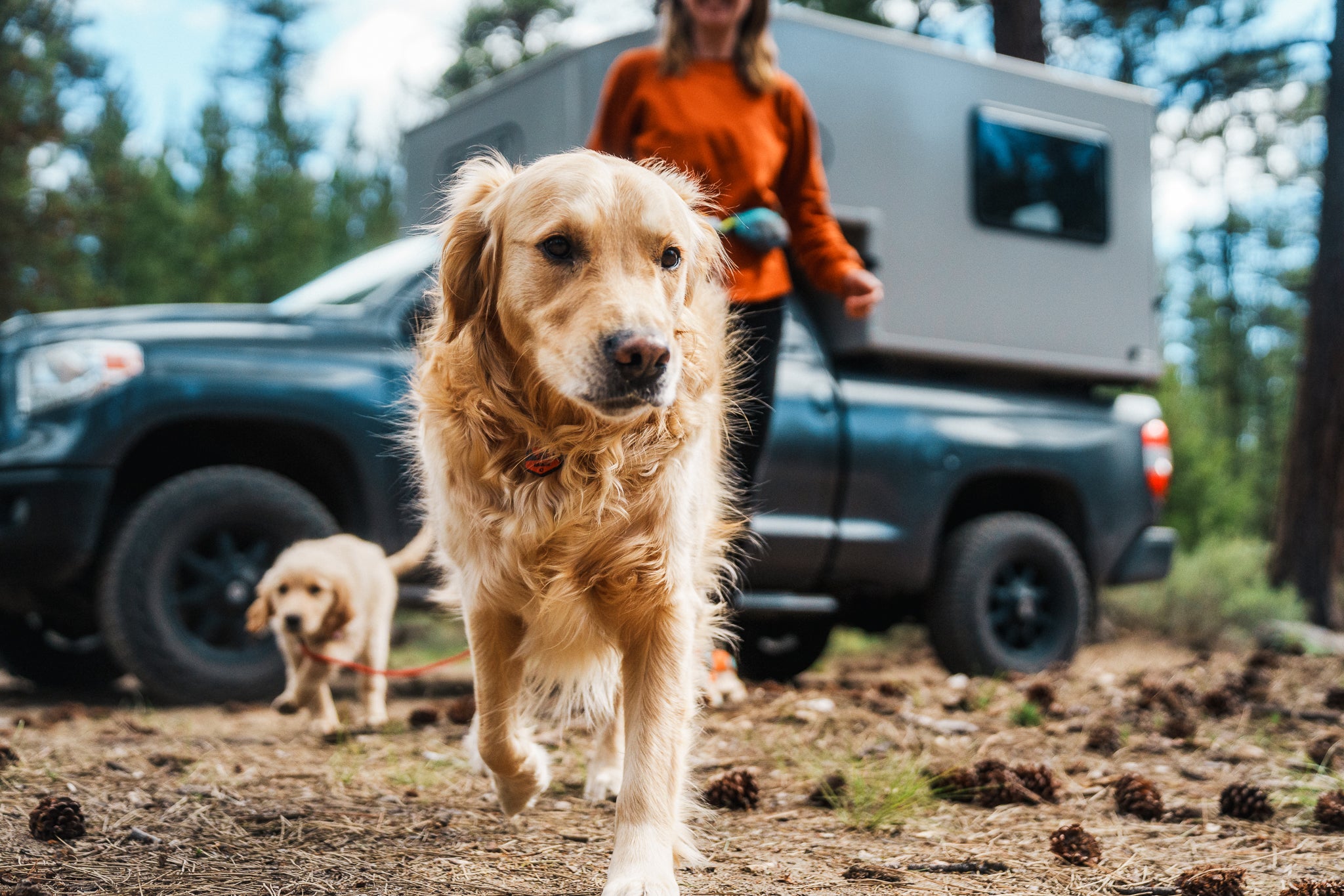 A woman and her two dogs walk in nature while taking a break on a road trip. 