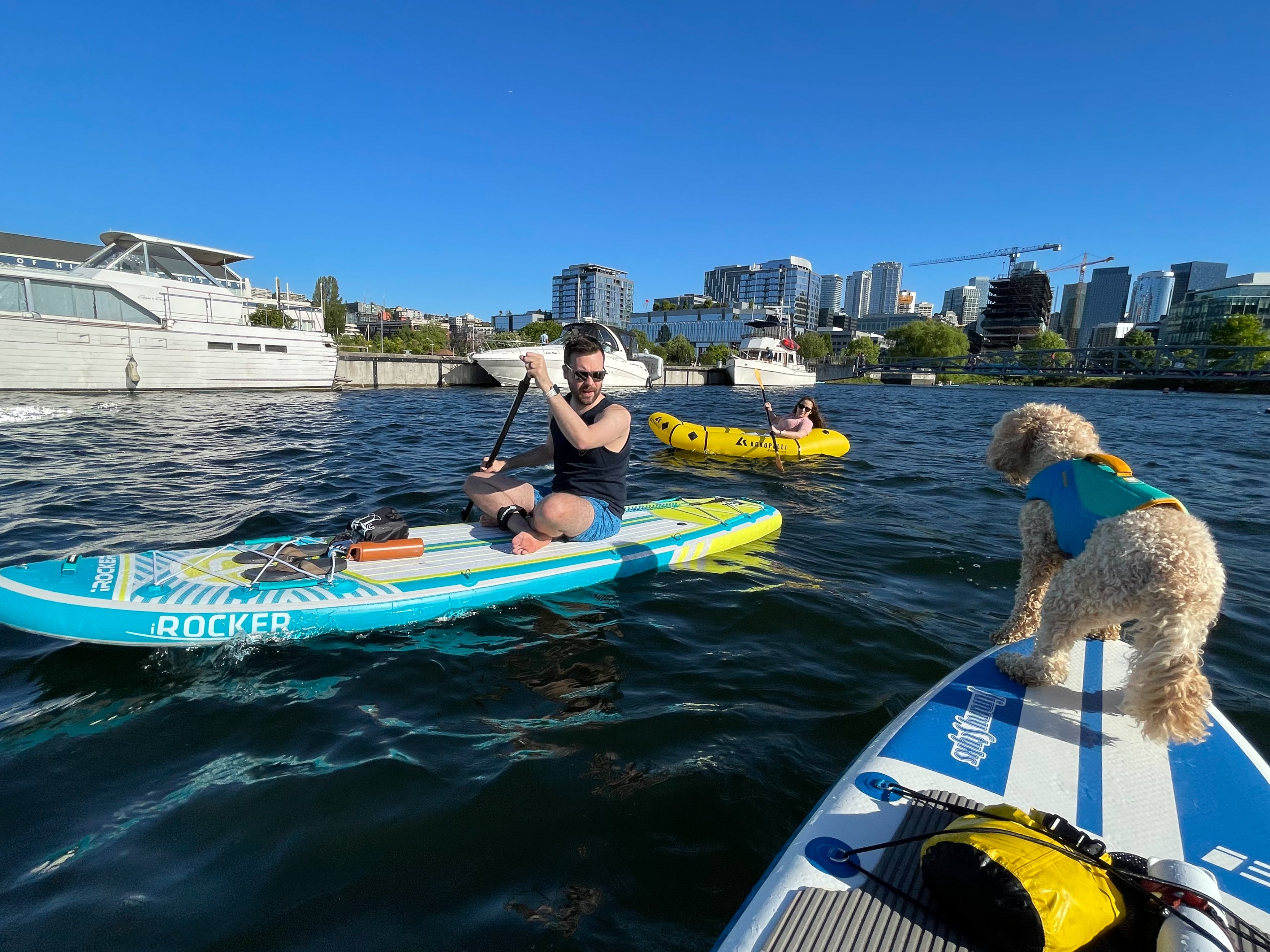 Dog on paddle board with two other paddlers nearby in a city 