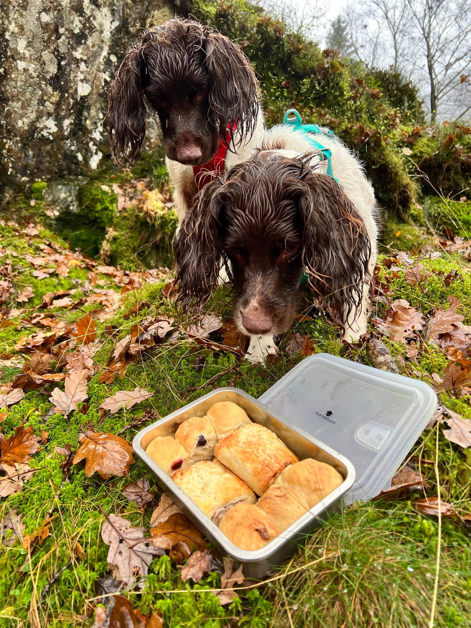 Dogs Harry and Paddy sniff a pastry that Kerry eats while on the trail. 