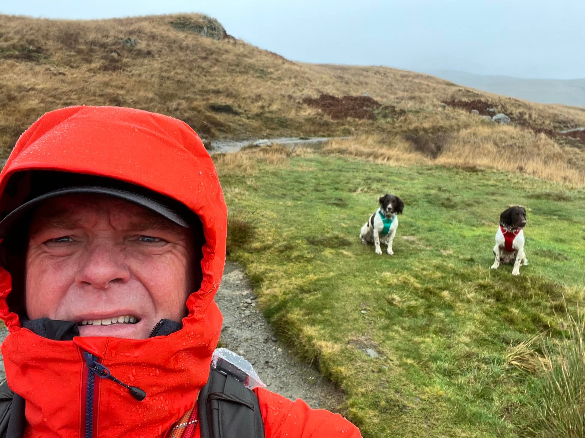 Kerry poses on the Catbells Walk trail with his two dogs, Harry and Paddy. 