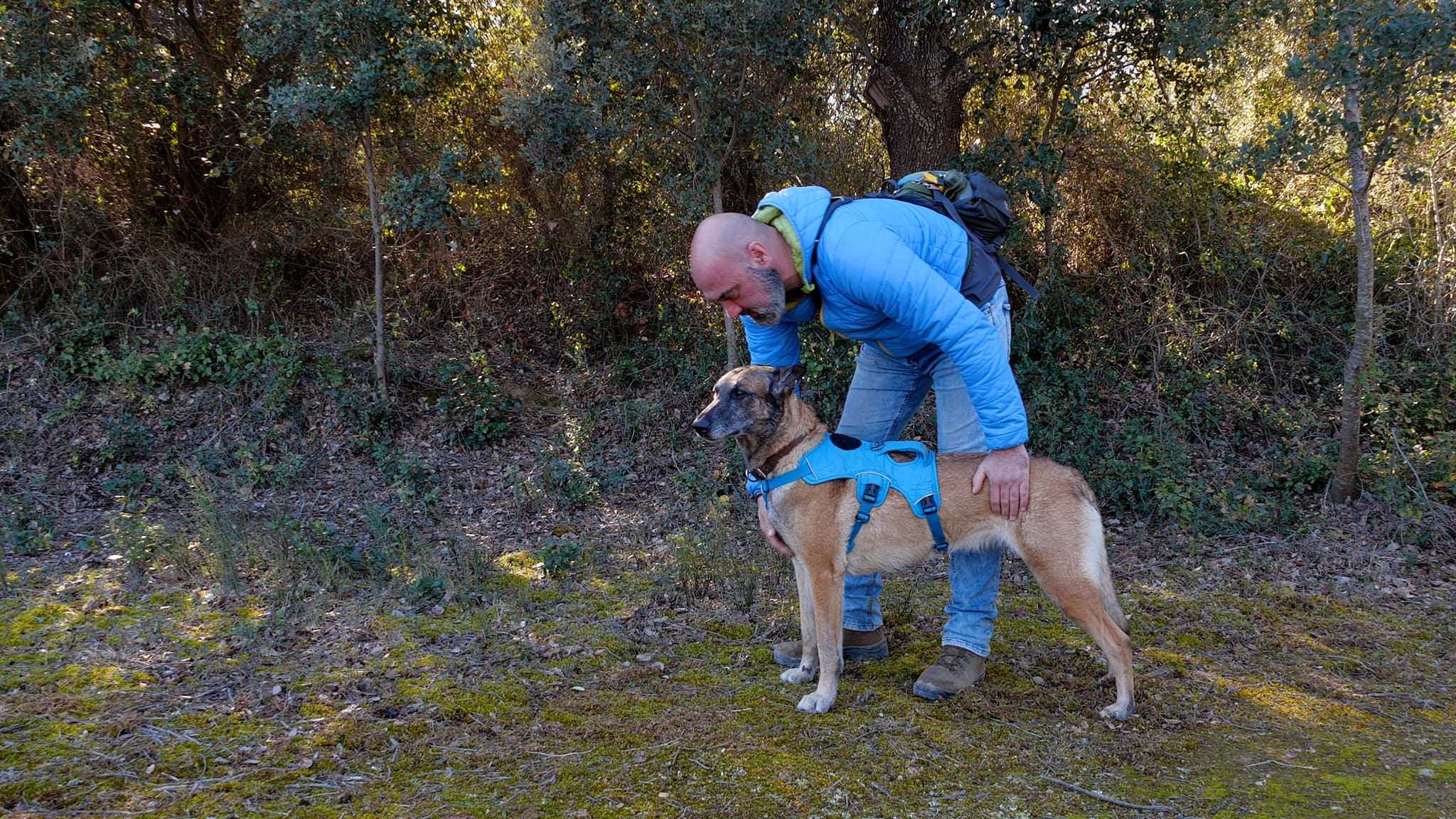 A man stands next to a detection dog while they work. 