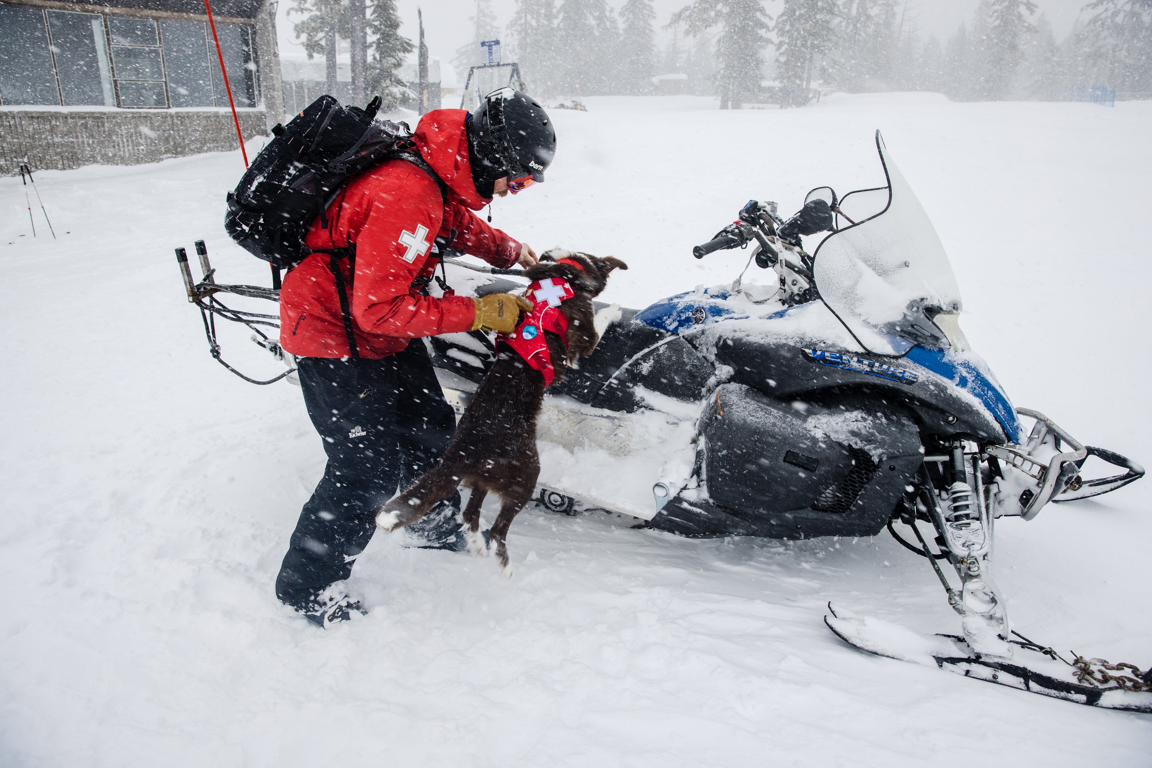 Avalanche dog handler, Alex, assists Ruddy the puppy onto a snowmobile using the handle of the Web Master™ Harness.