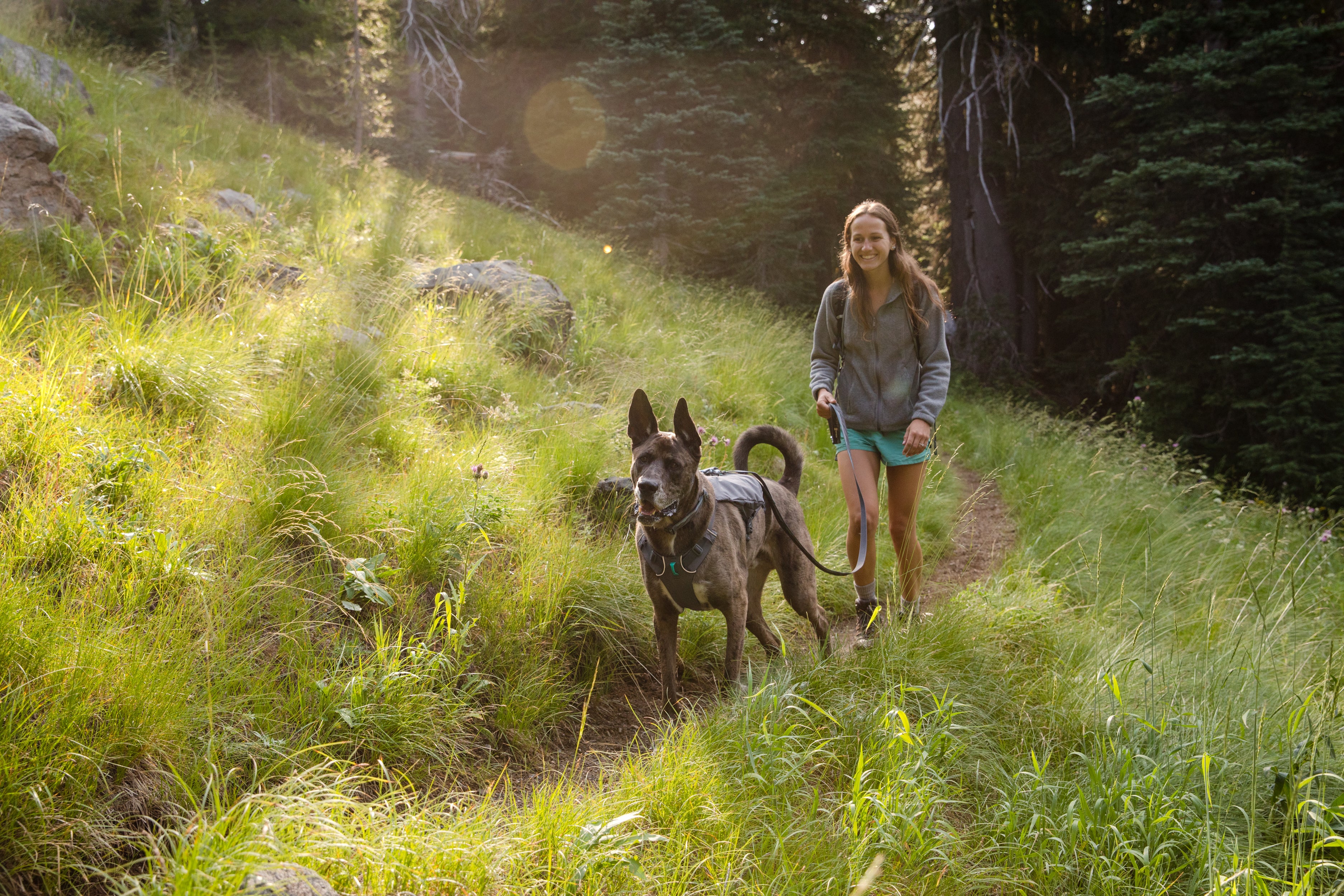 A woman walks her dog on a wooded trail. 