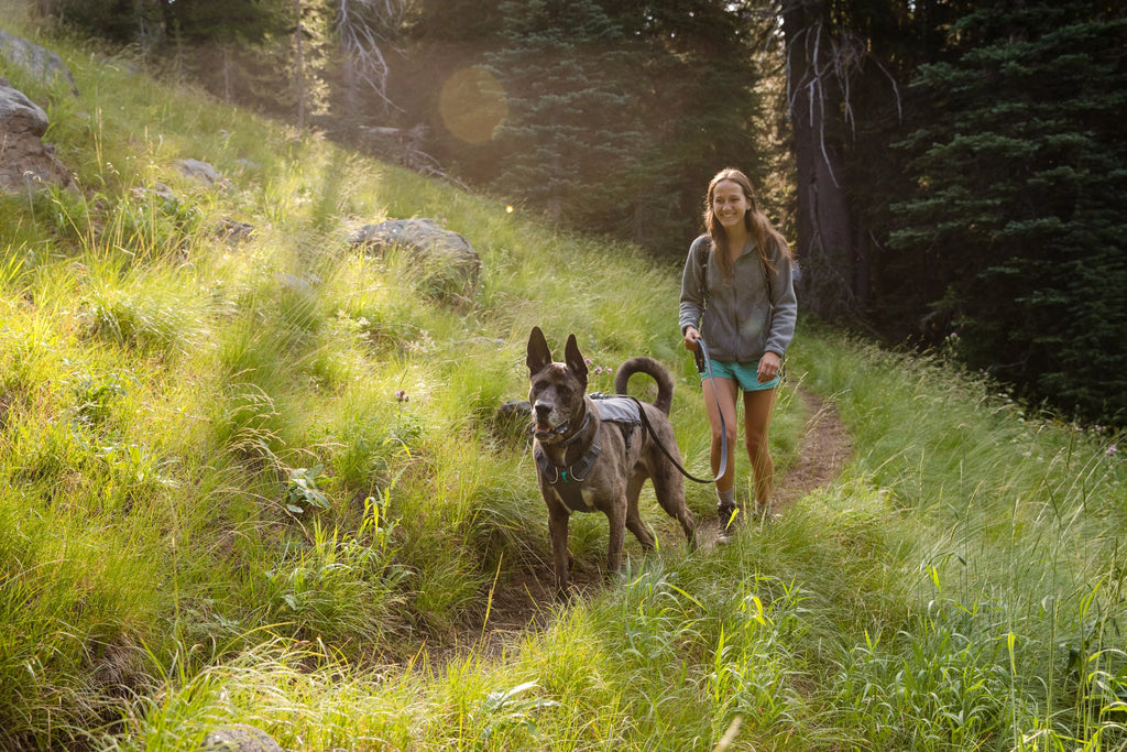 Hiking picture with dog