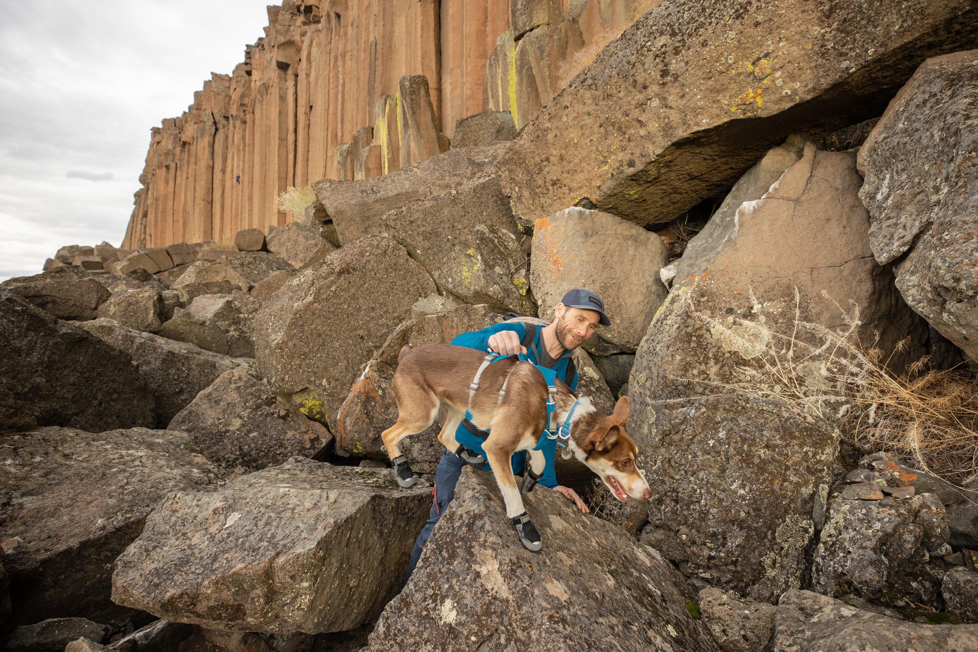 A man uses the handle on the Flagline™ Harness to help his dog over rocks. 