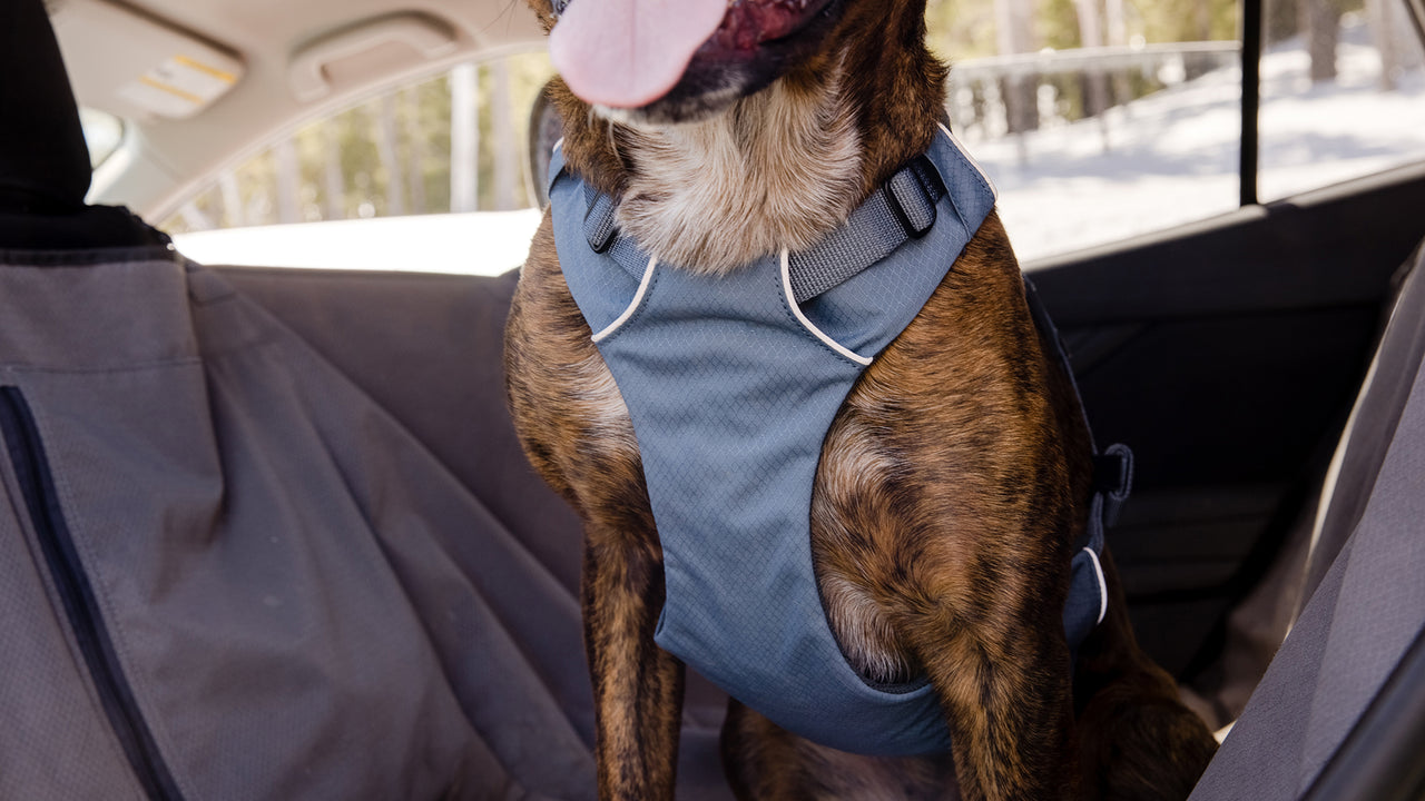 ruffwear load up dog car harness