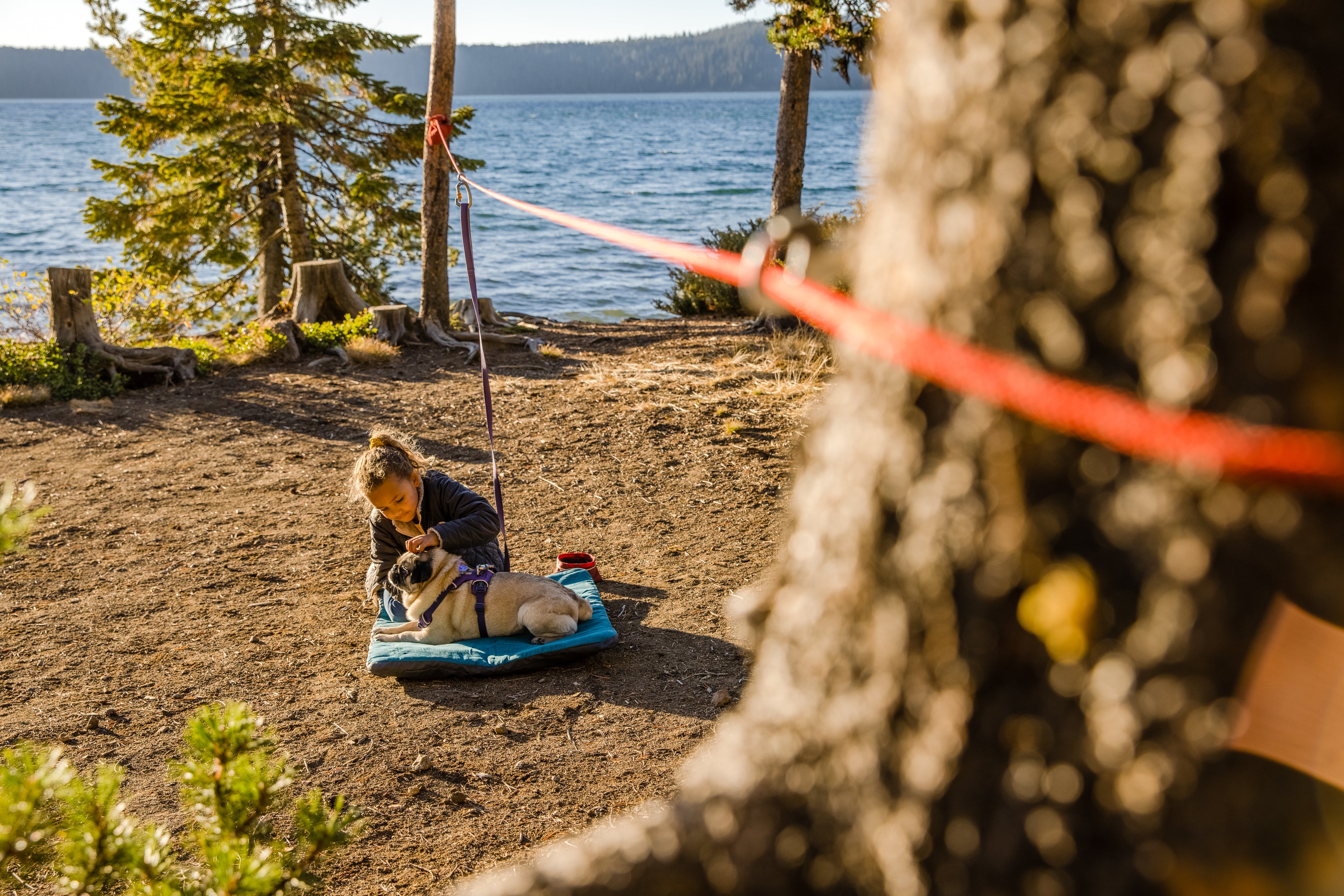 A young girl sits at a campsite with her dog who is wearing Ruffwear's Knot-a-Hitch. 