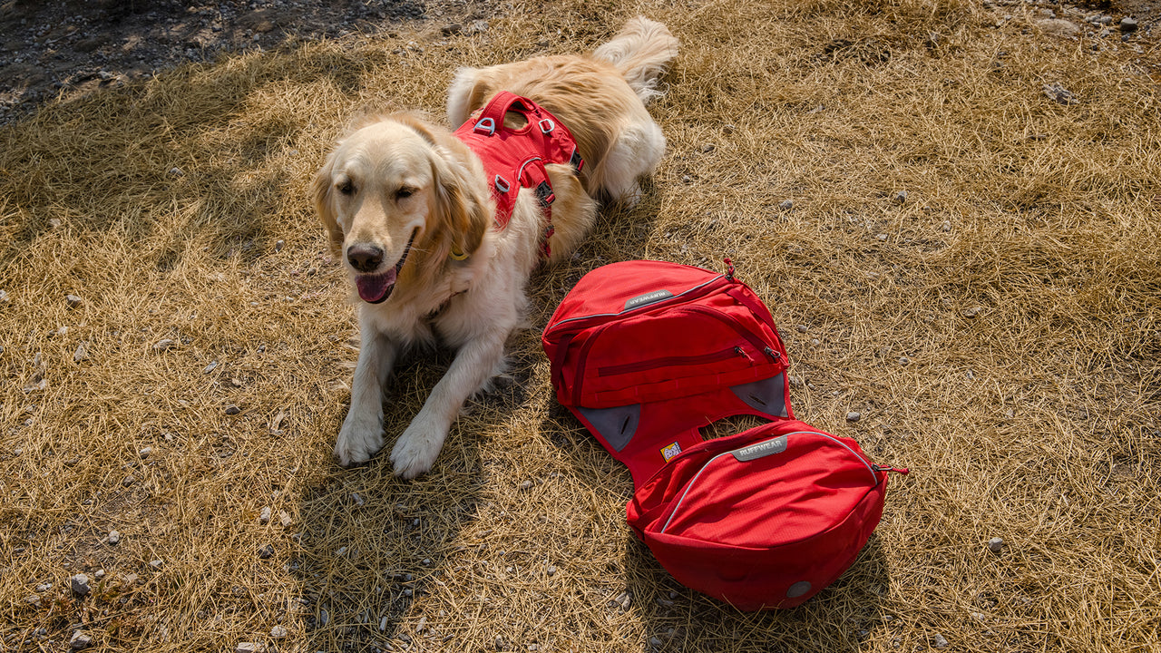 Palisades™ Dog Pack | Durable Multi-Day Backcountry | Ruffwear