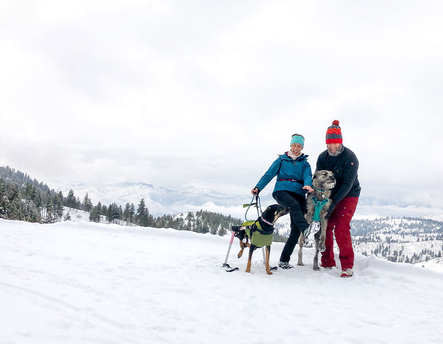 Bree, Noodle, and Shamus pose together on a snowy hike in the washington cascades.