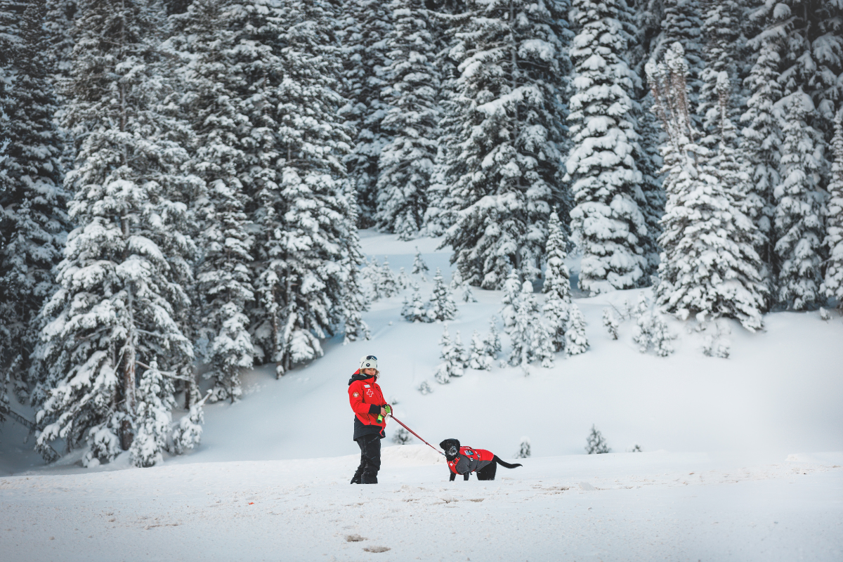 An avy dog and his handler waiting in the snowy landscape