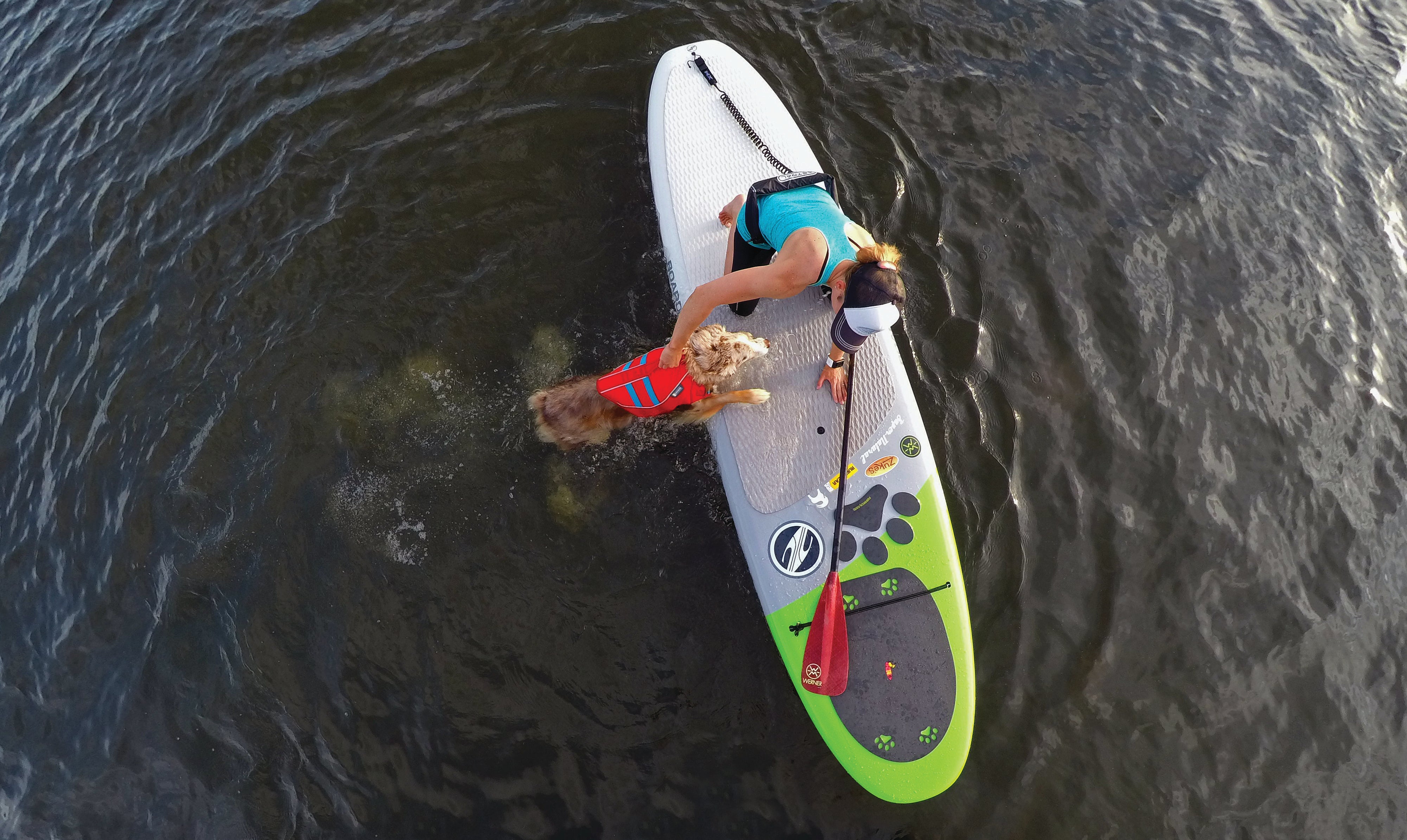 Maria helps Bodie back onto paddleboard using the float coat handle.