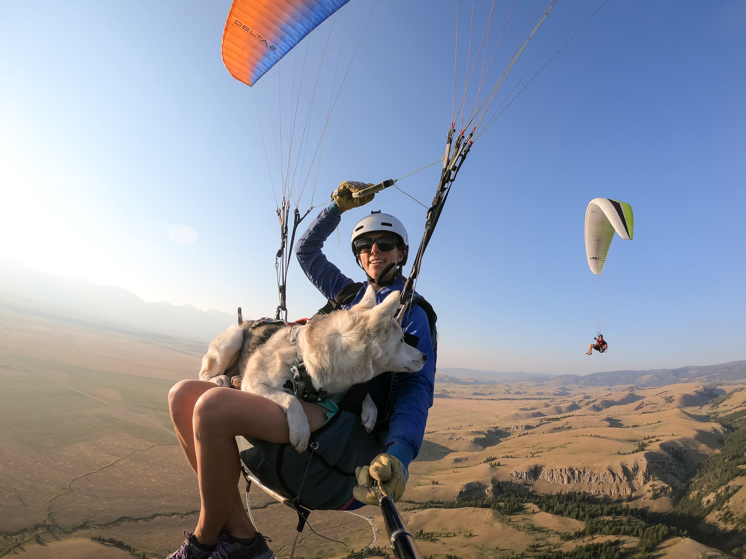 Woman paragliding with her dog