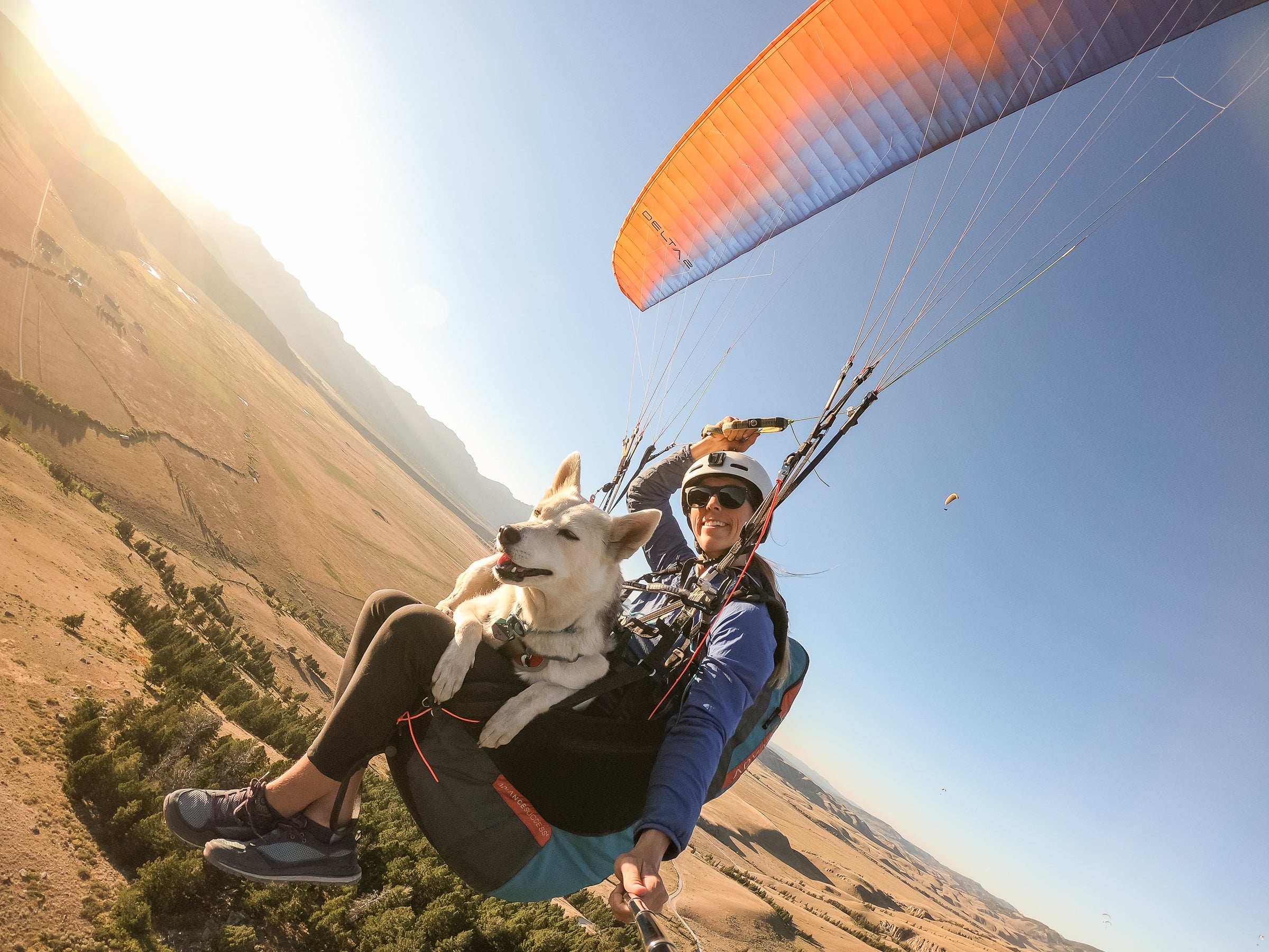 Woman paragliding with her dog