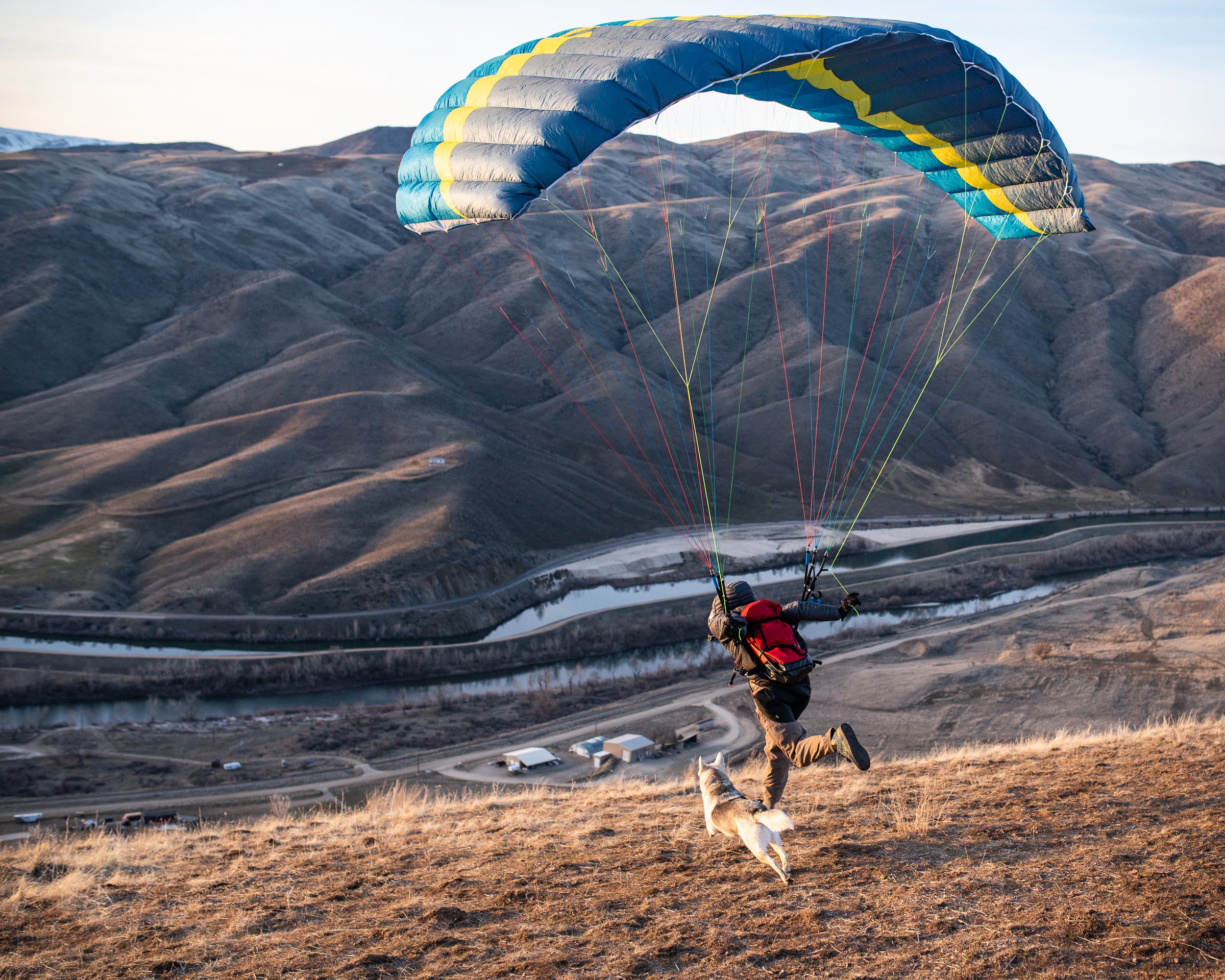 Dog running alongside a paraglider taking off