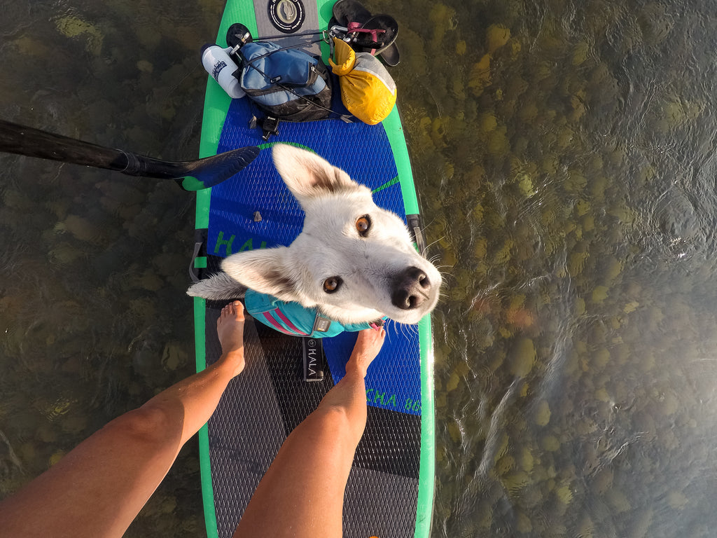 Tala in float coat sits on paddleboard at Becca's feet.