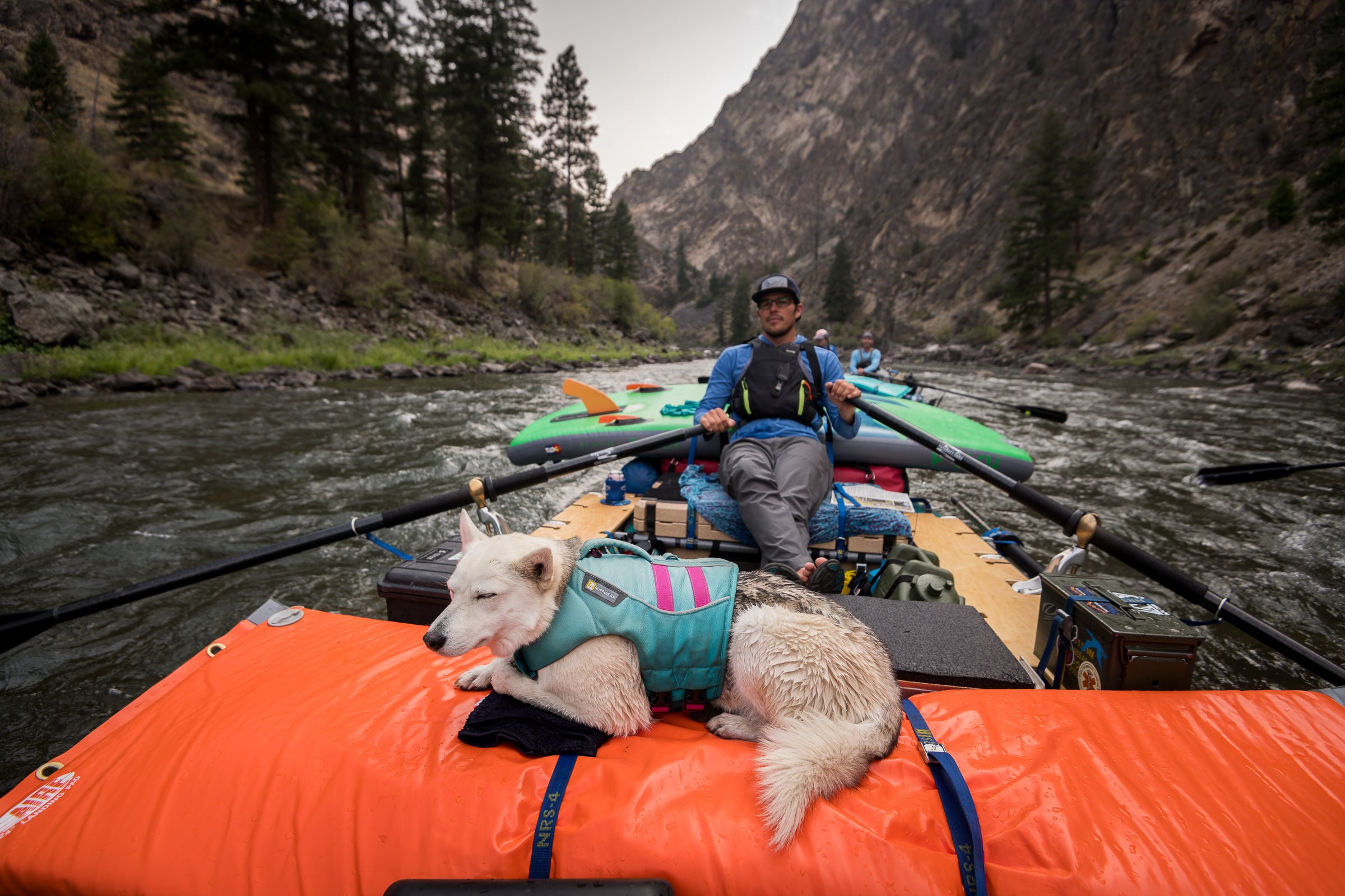 On a river rafting trip, a dog sits on a raft while her human paddles it. 