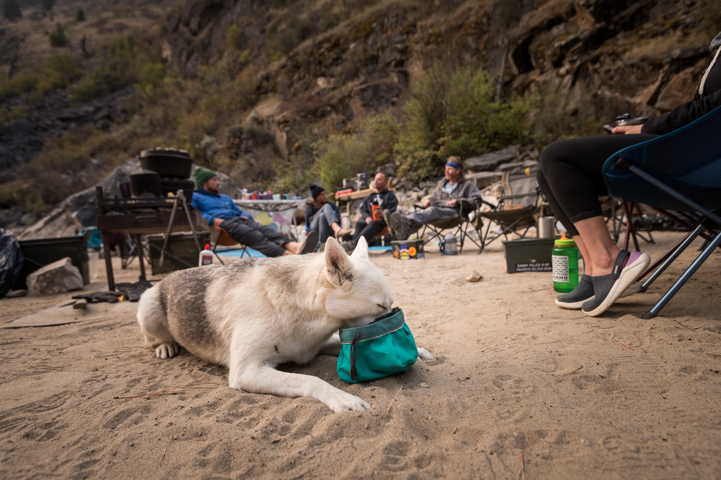 A dog at a campsite eats breakfast out of her Ruffwear Quencher Cinch Top™ Dog Bowl.
