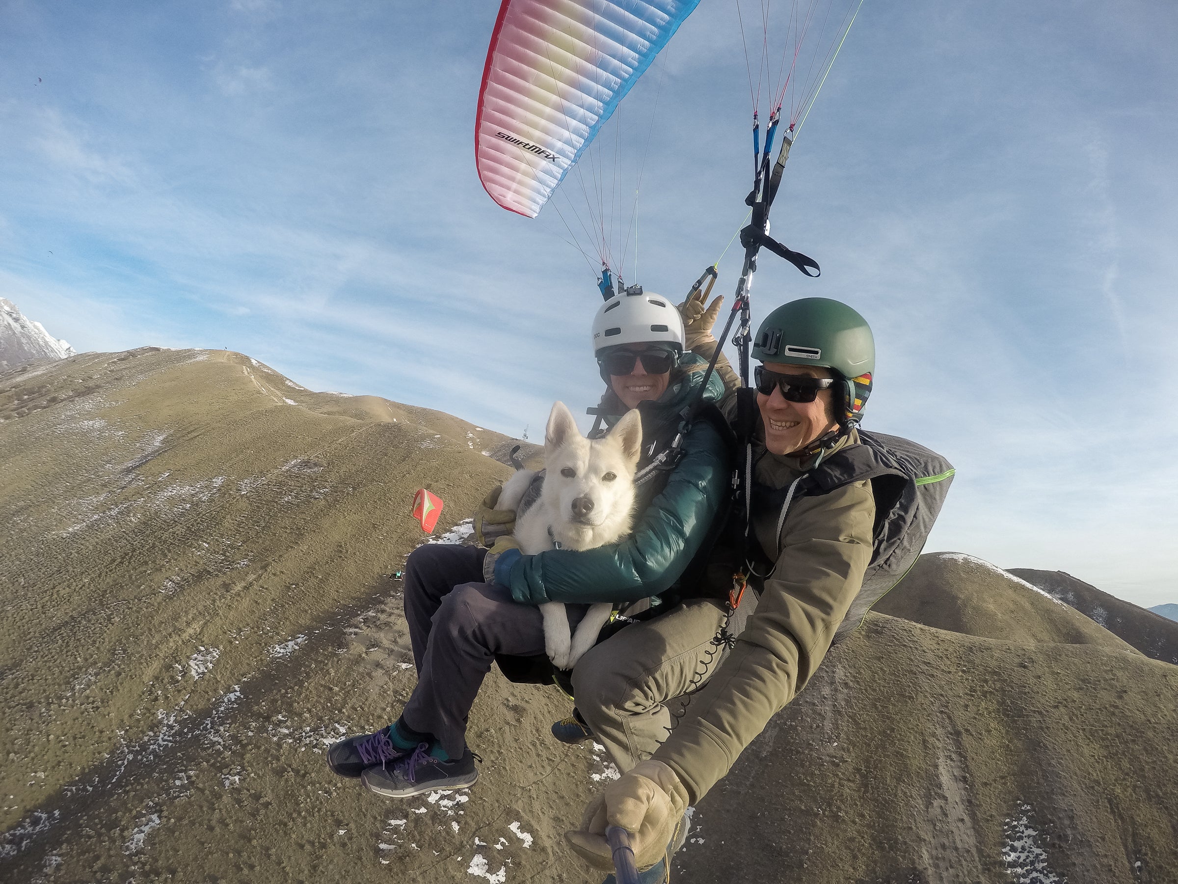 Man and woman tandem paragliding with their dog