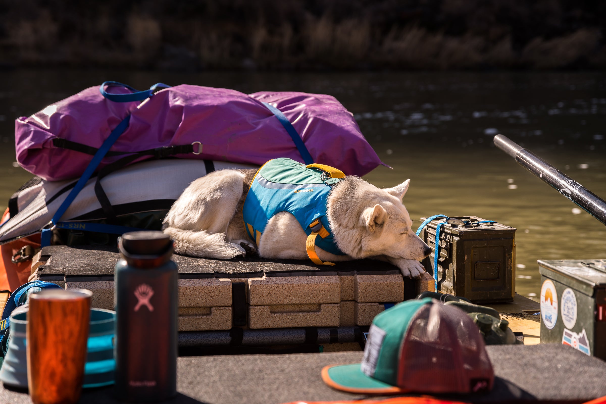 A dog wears a Ruffwear Float Coat™ and lays down on a river raft. 