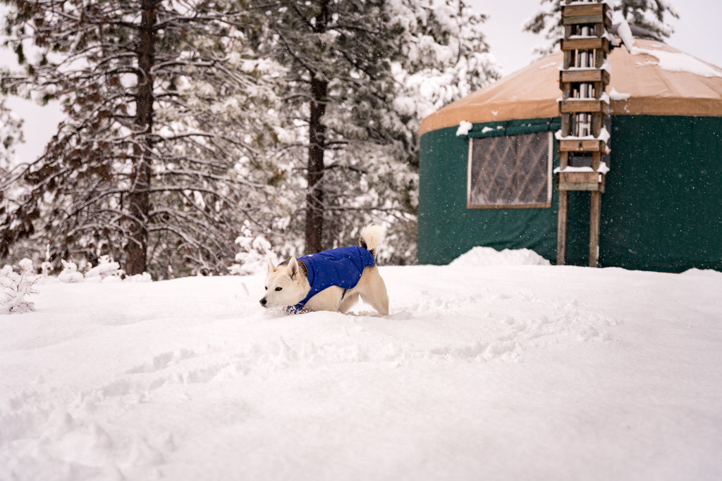 Tala outside yurt.