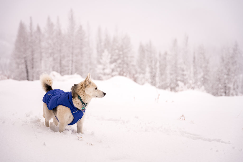 Tala in the Quinzee jacket.