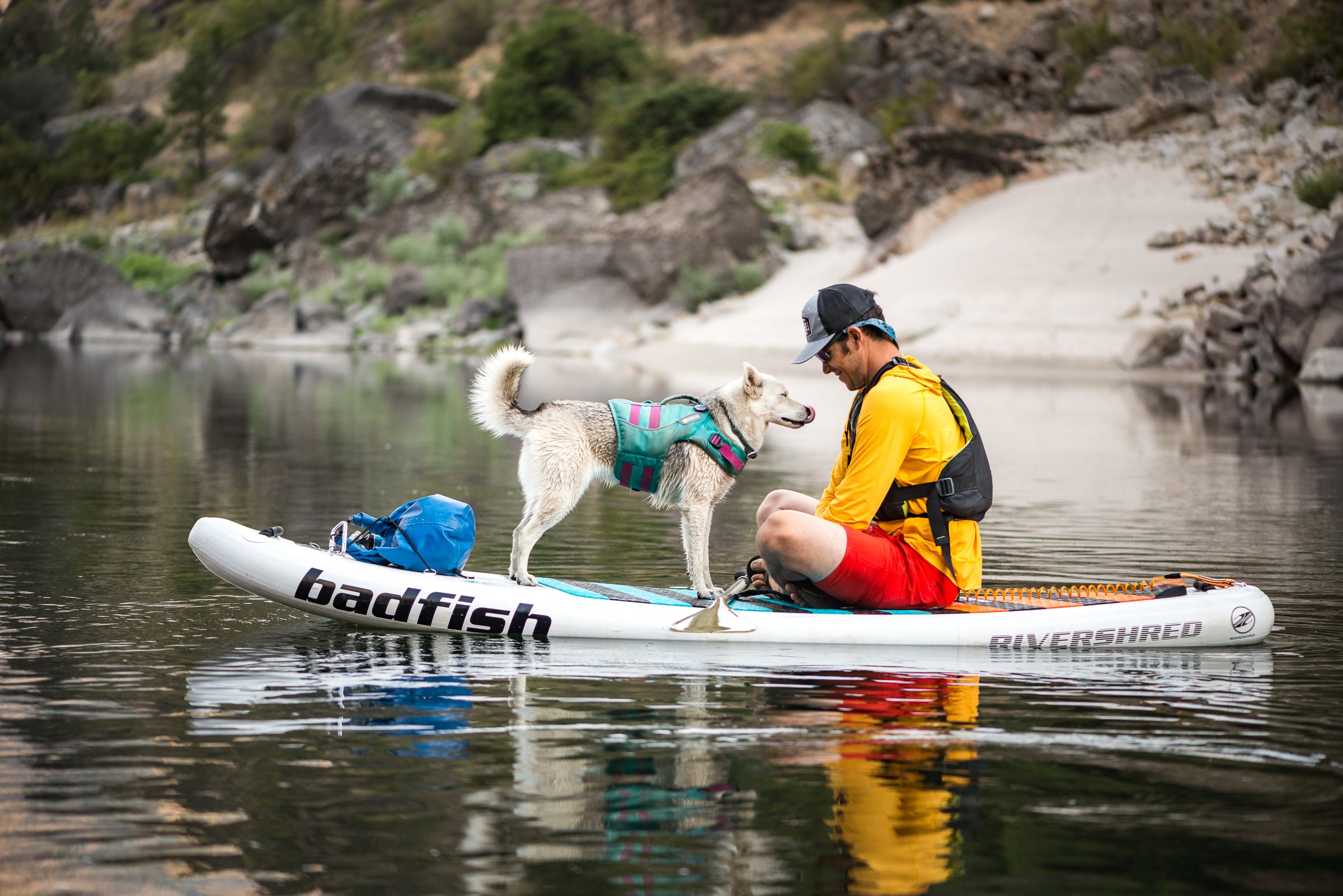 A dog stands on a paddle board with her human companion. 