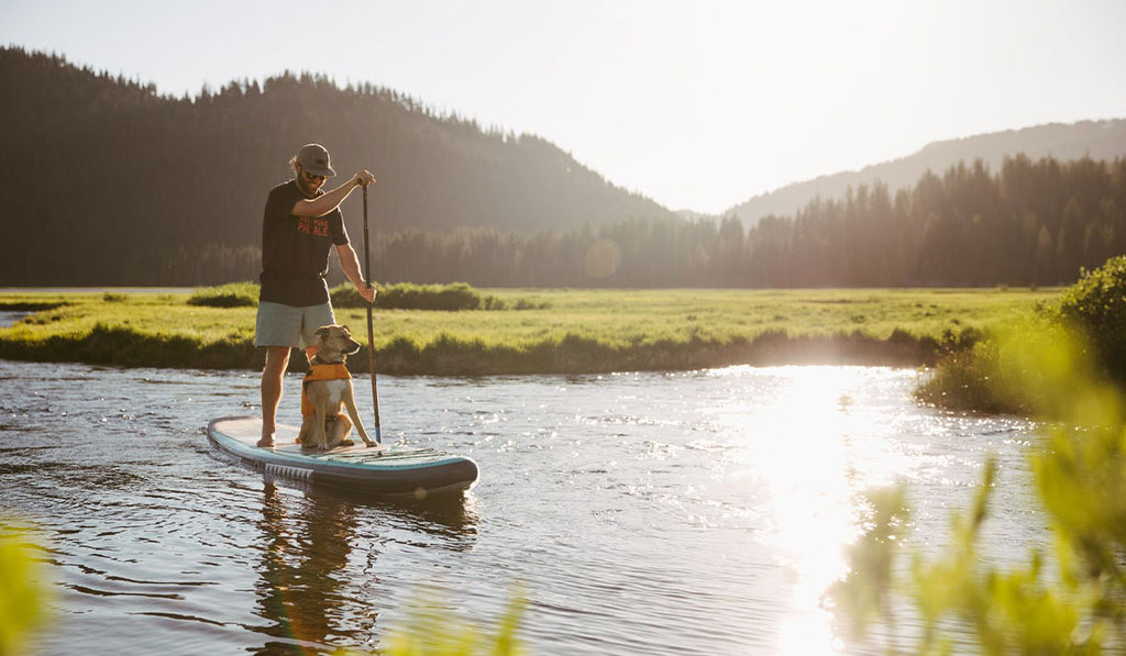 Dog in float coat sits in front of man paddling a paddleboard.