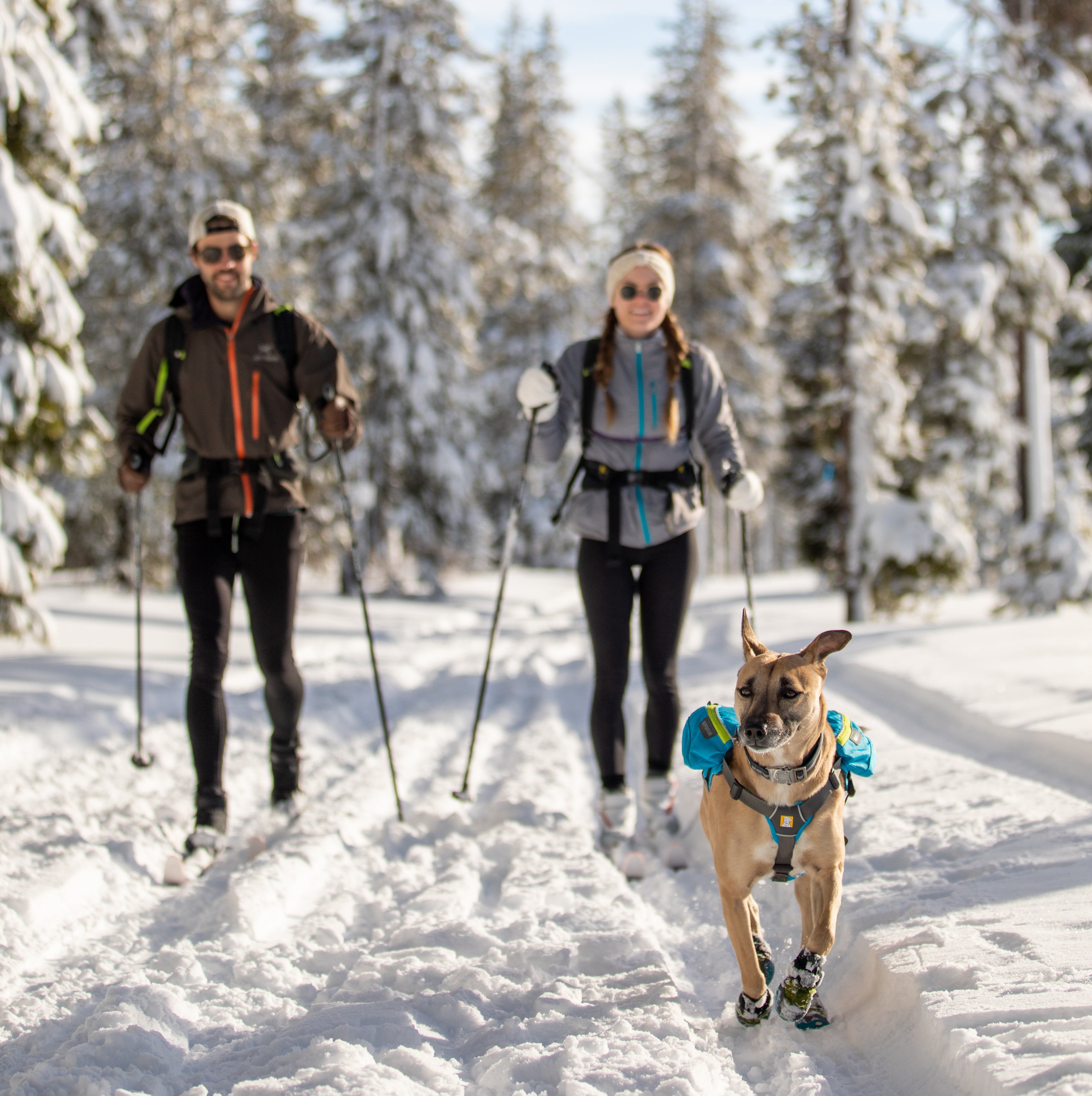 A man and a woman backcountry ski while their dog runs ahead with her Ruffwear Polar Trex™ Dog Boots. 