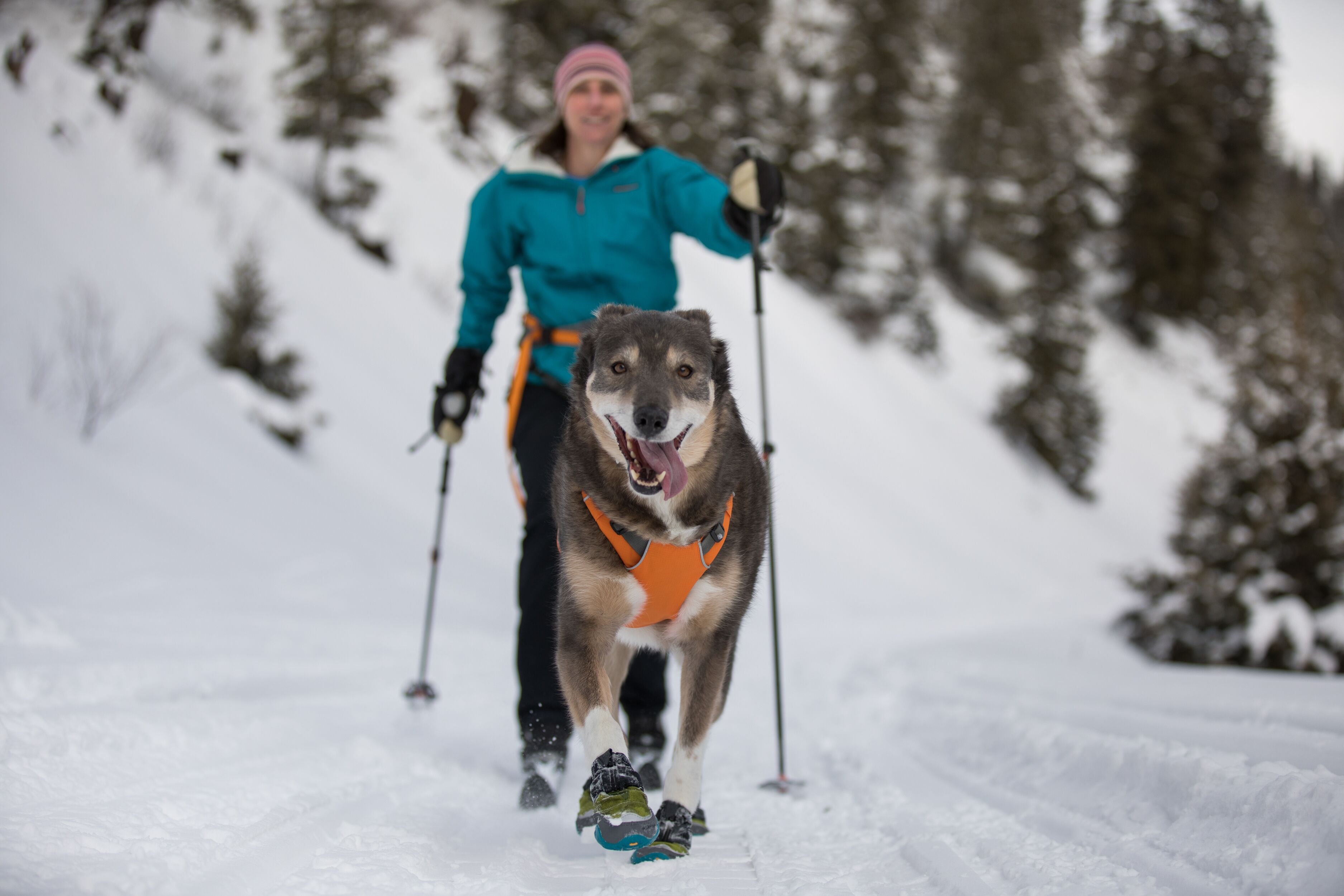 A woman cross-country skis while her dog runs in the snow with his Ruffwear Polar Trex™ Dog Boots. 