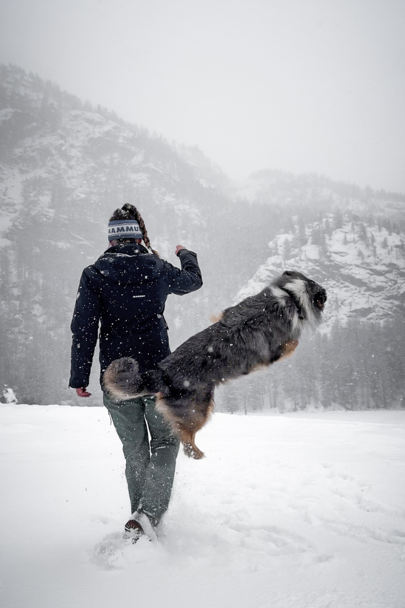 Sarah and Bolt in the Swiss Alps.