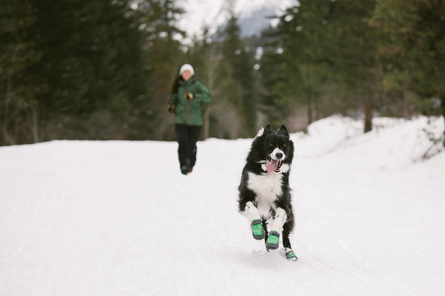 dog snow boots uk