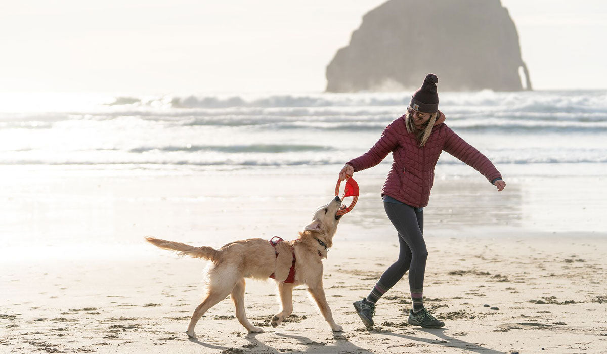Dani Wyeth plays tug with dog Ranger on Oregon coast.
