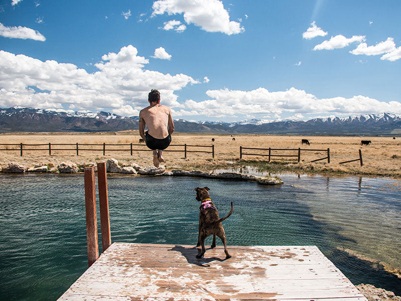 Trevor cannonballs into small lake while Kahlua stands on the dock looking down on him.