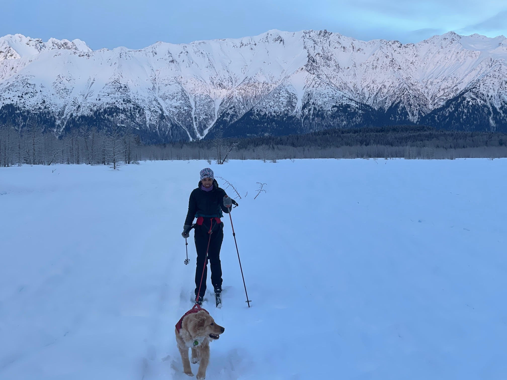 A woman cross-country skis with her dog who is wearing a Ruffwear harness. 