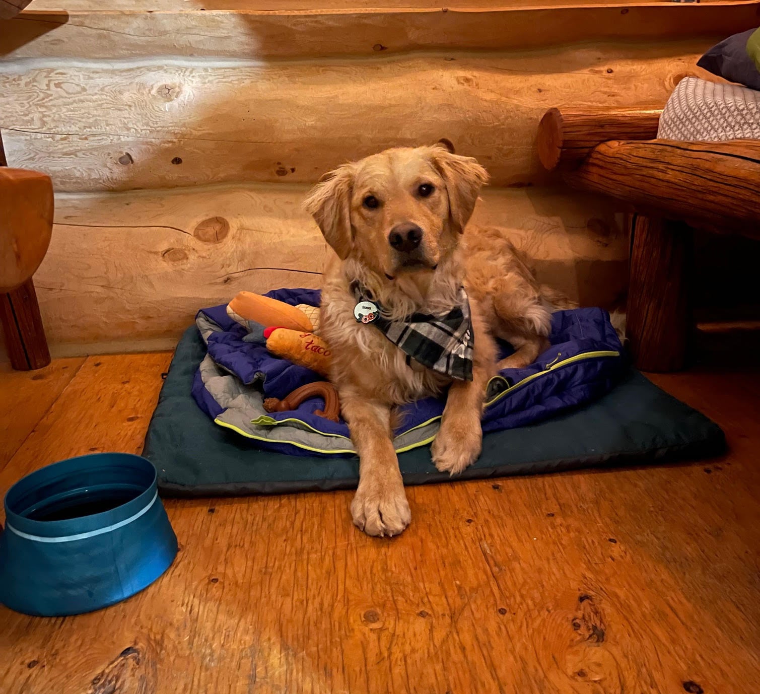 A golden retriever dog lays down on his Ruffwear Mt. Bachelor Pad™ Portable Dog Bed and Highlands™ Dog Sleeping Bag.