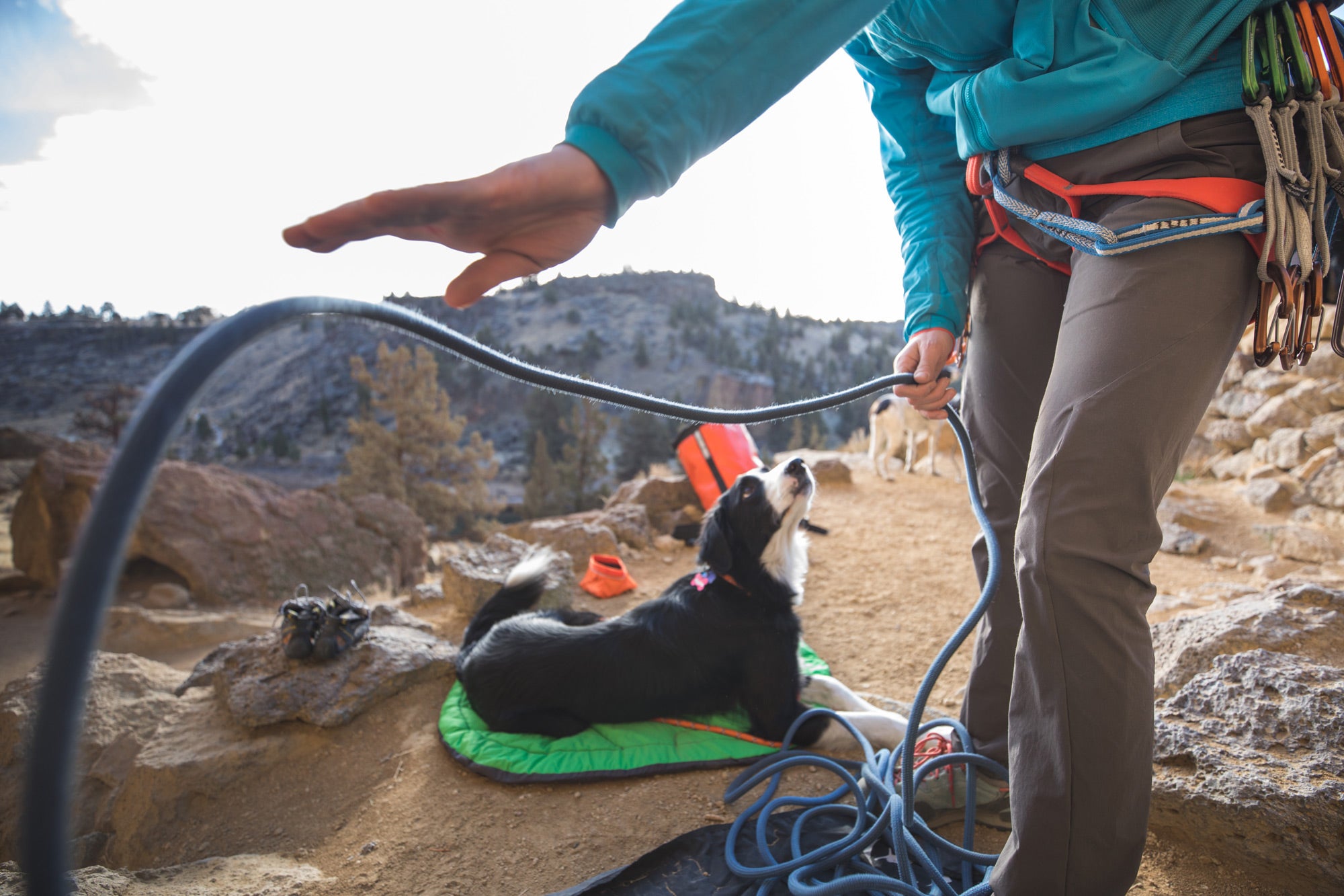 Woman gets climbing rope ready while dog looks on.