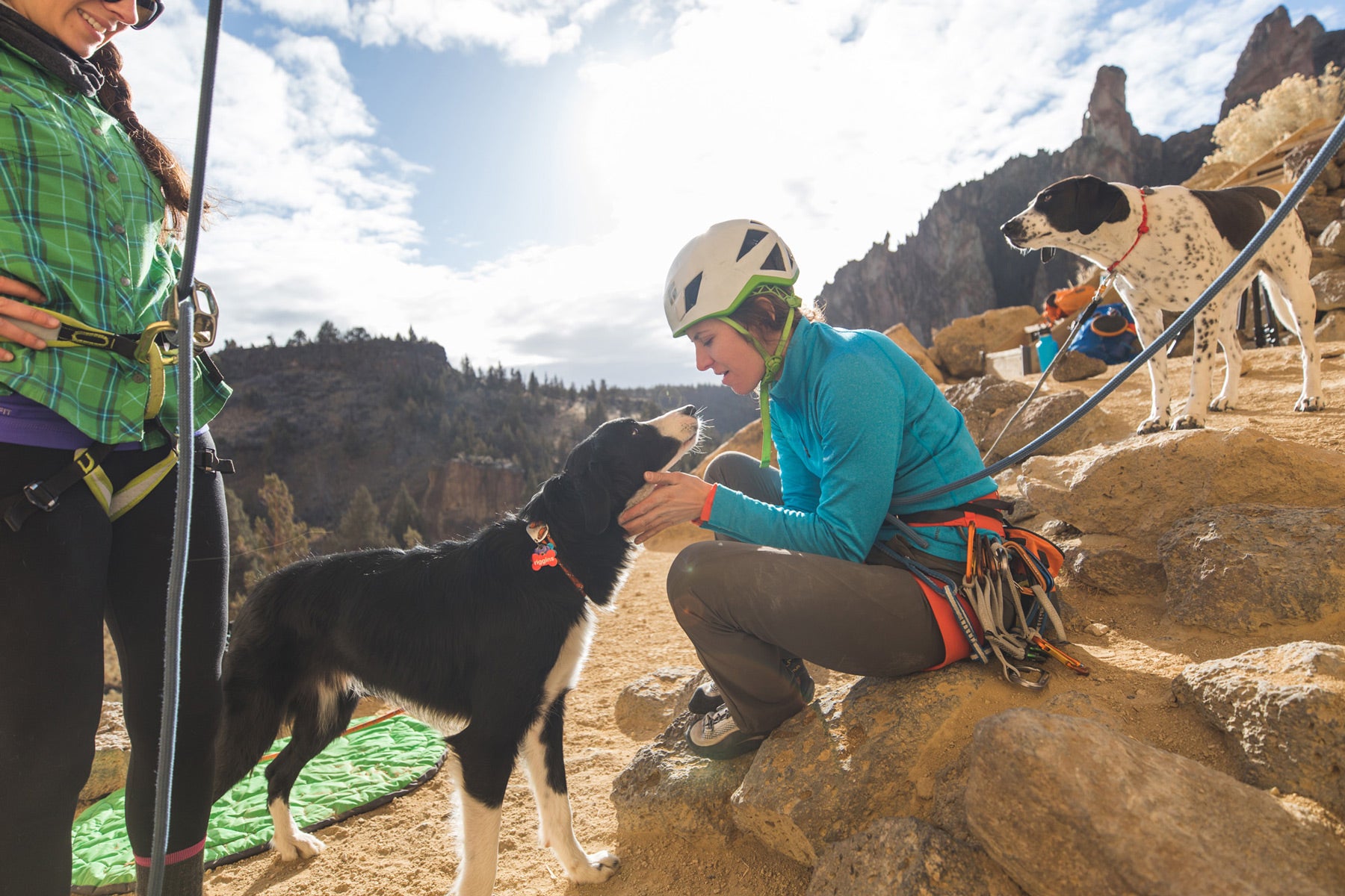 Border collie dog gives climber kisses after climb while other dog looks on.
