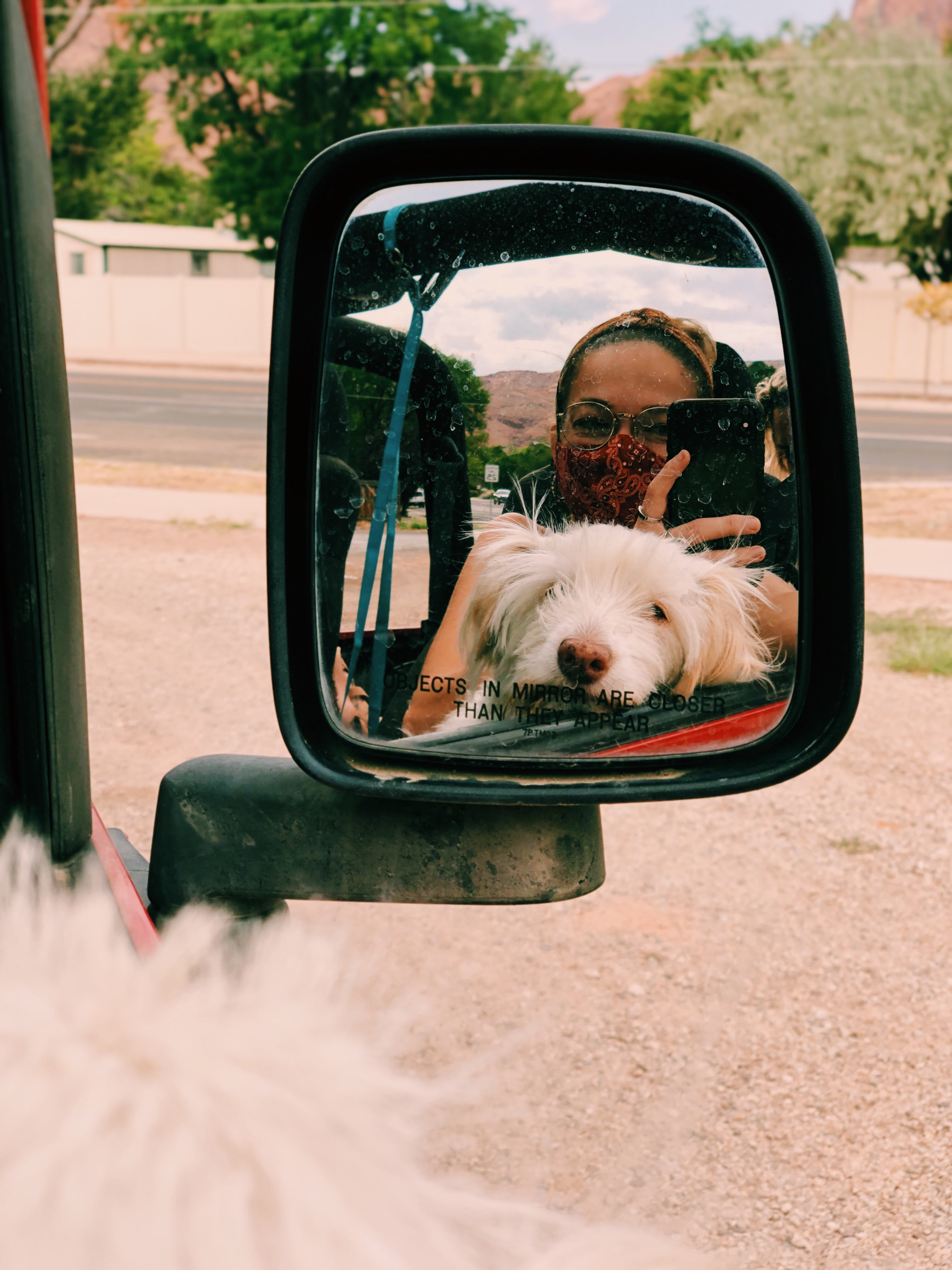 Woman and dog in the side mirror of a car