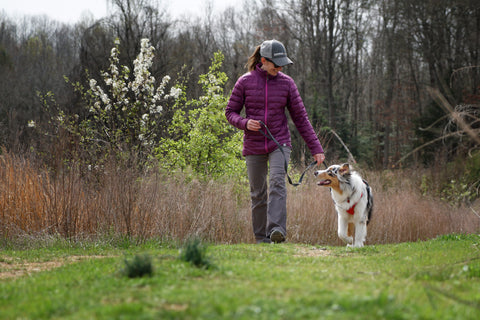 Maria walking her dog through grass by woods.