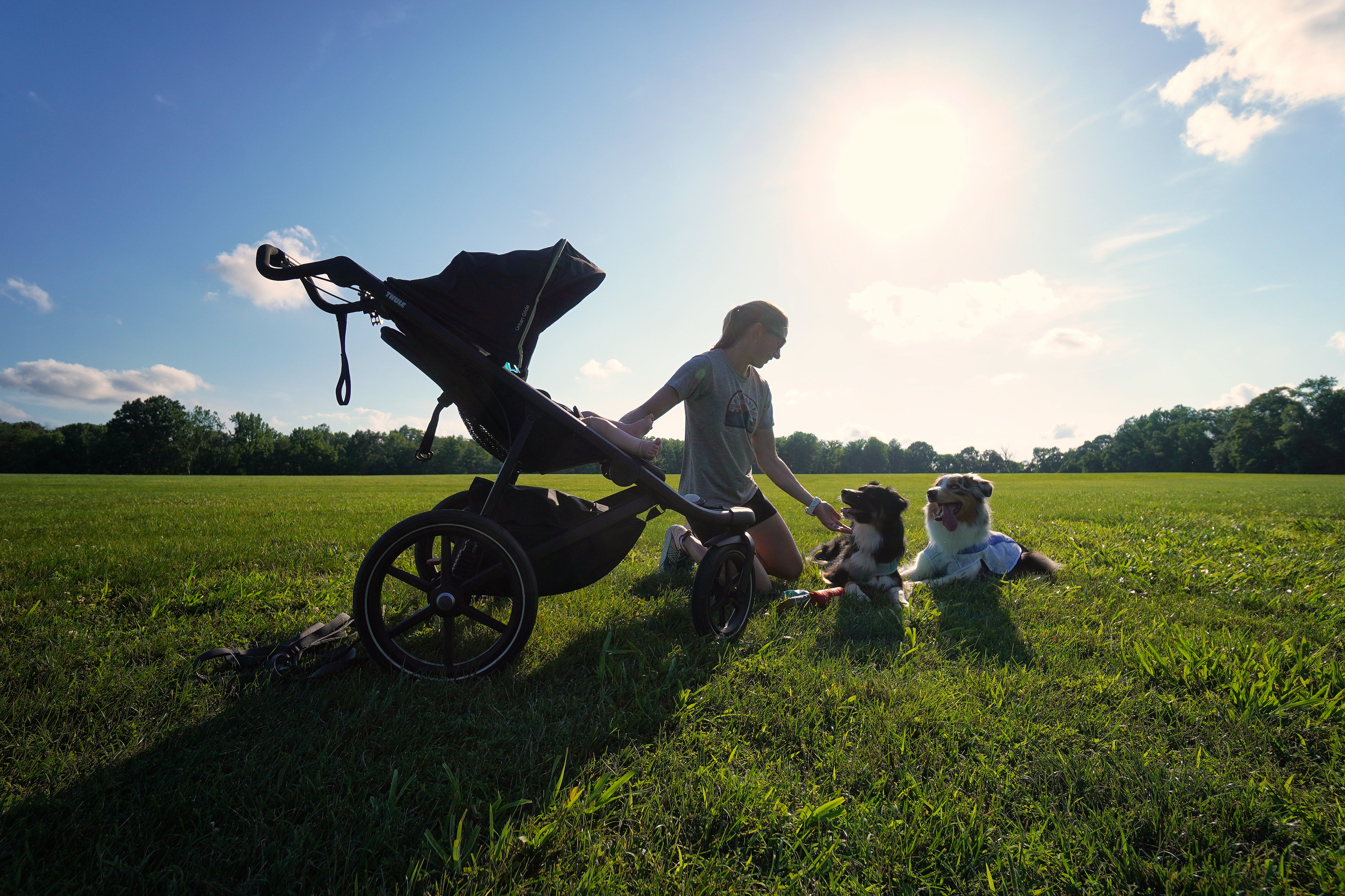 A woman sits on the grass in a park with her baby in a stroller and two dogs. 