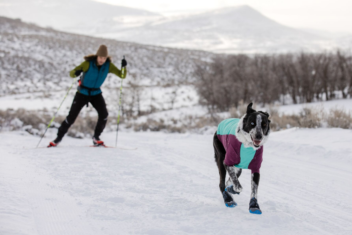 Dog and human adventuring in the snow.