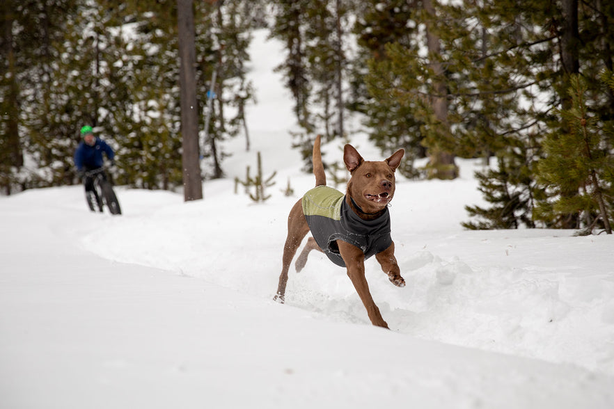 ruffwear sweater