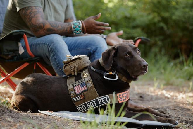 Axe in service dog vest that reads "Do not Pet" lays at Chad's feet outdoors.