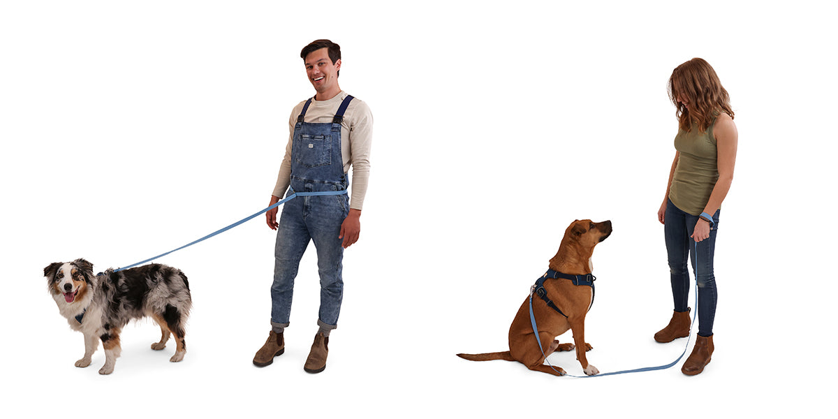 two humans with their dogs: one holding a leash, one wearing a leash around the waist.