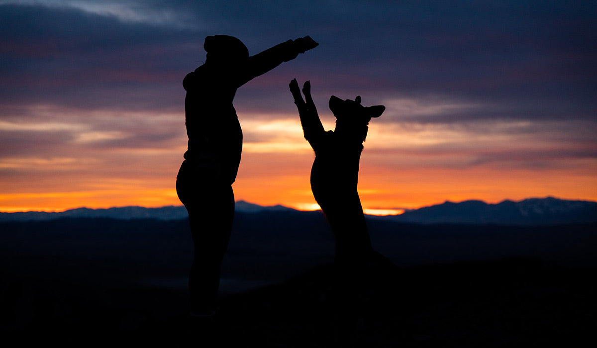 Silhouette of woman and dog jumping at sunset.
