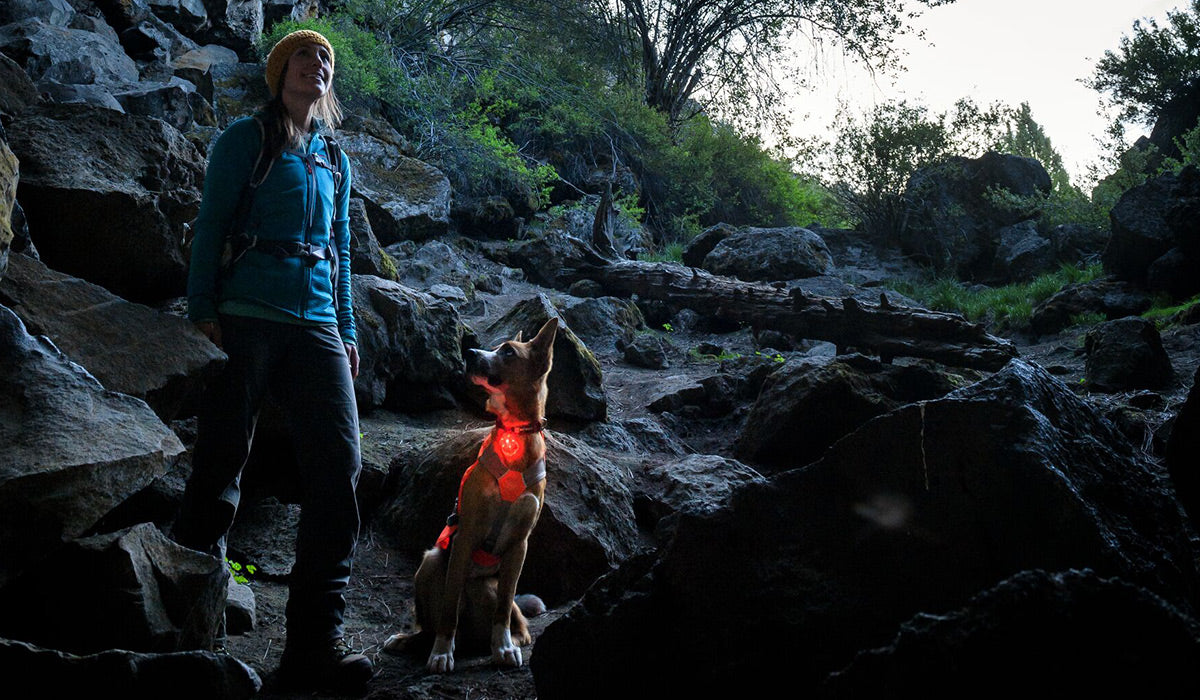 Dog lit up by the beacon light he is wearing ventures into a cave hike with woman.